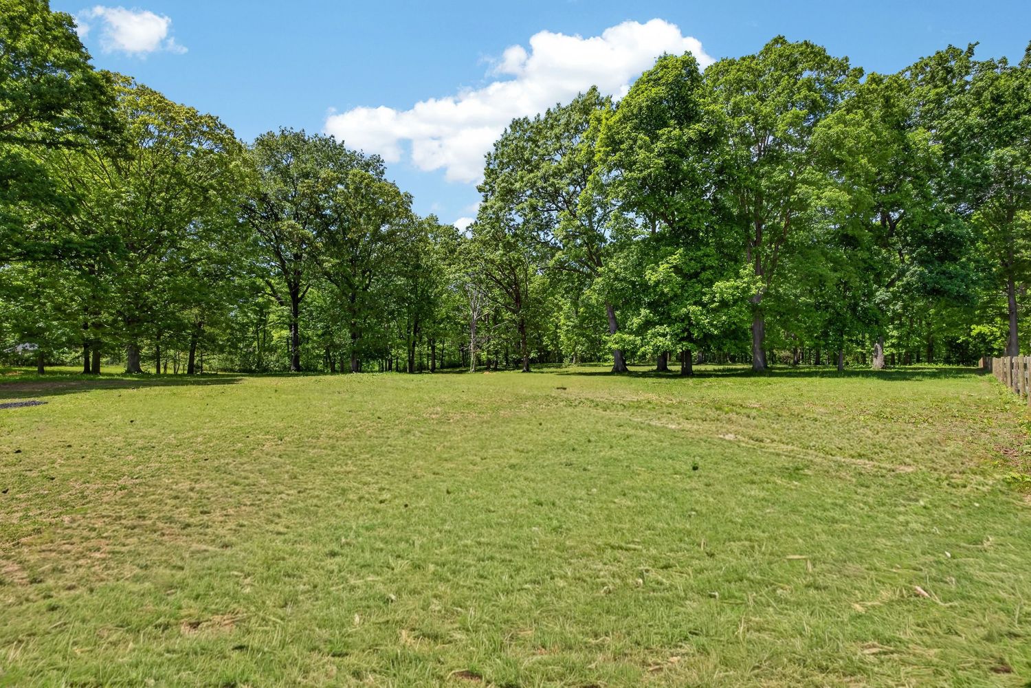 Lush green open field surrounded by tall mature trees under a bright blue sky with white clouds.
