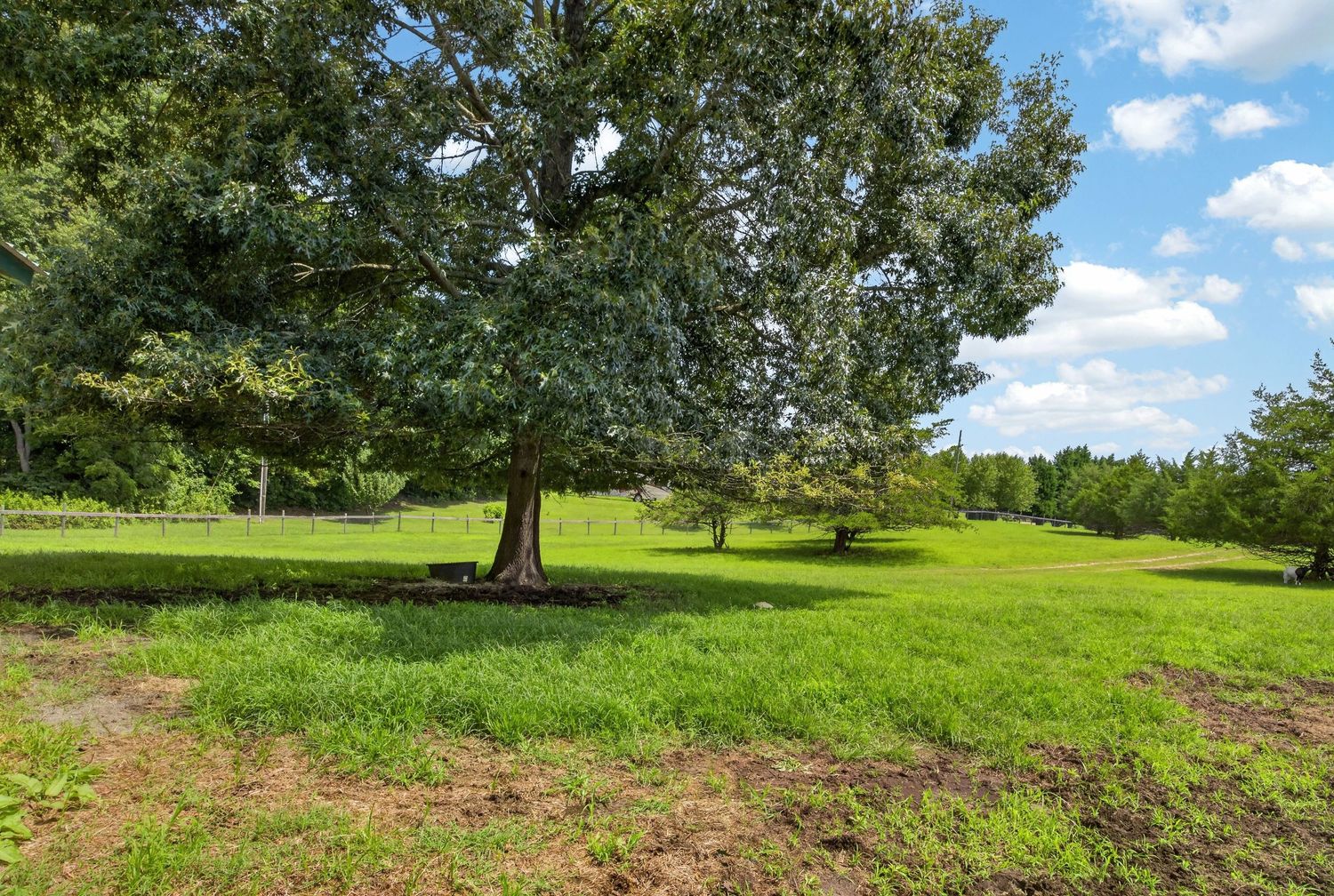 Lush green lawn with a large shade tree in a spacious rural yard under a partly cloudy blue sky.