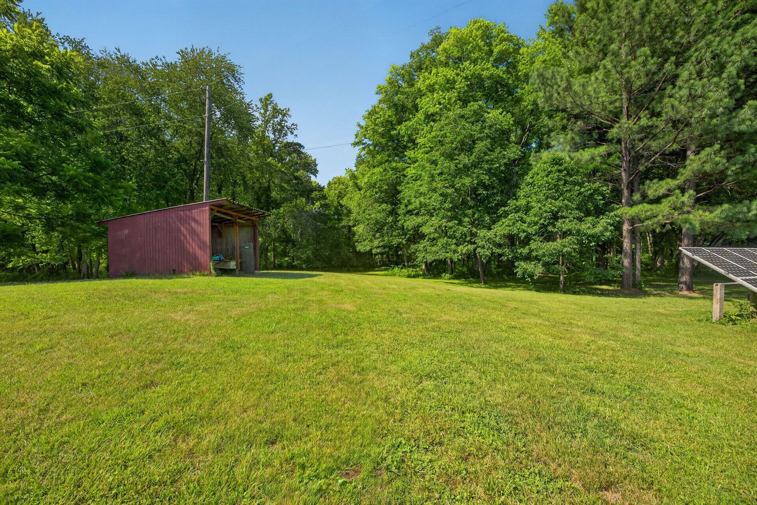 Lush green yard with a red shed and tall trees surrounding the property on a sunny day.