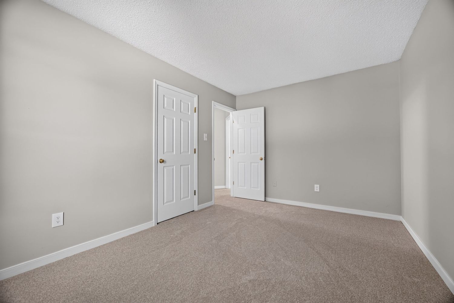 Empty bedroom with beige carpet, gray walls, white baseboards, and two white panel doors leading to closet and hallway.