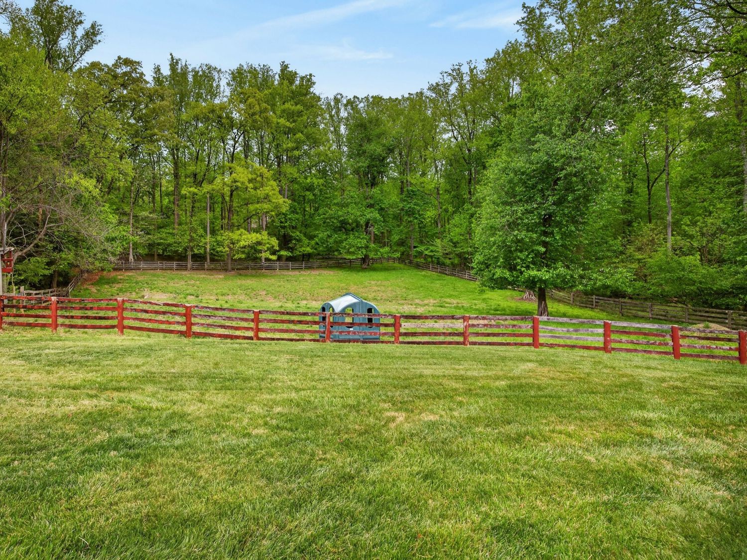 Lush green backyard with red split-rail fence enclosing a small blue shed, surrounded by tall trees.