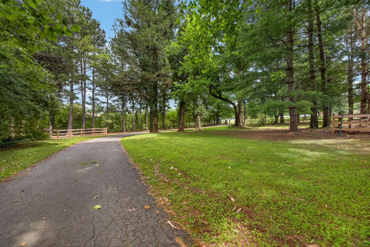 Paved driveway winds through lush green lawn surrounded by tall pine and oak trees in a serene park-like setting.