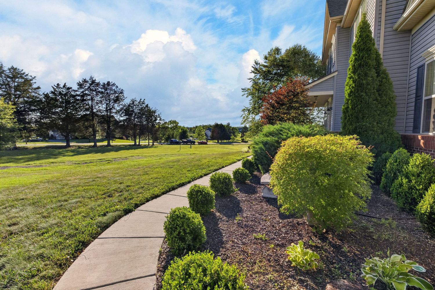 Curved concrete walkway lined with trimmed shrubs and evergreen trees beside a brick home with lush green lawn.