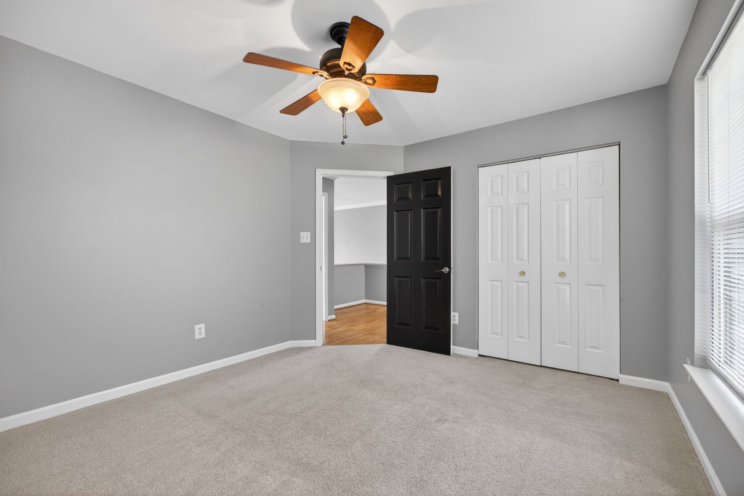 Spacious bedroom with gray walls, ceiling fan, white bifold closet doors, and light beige carpet flooring.