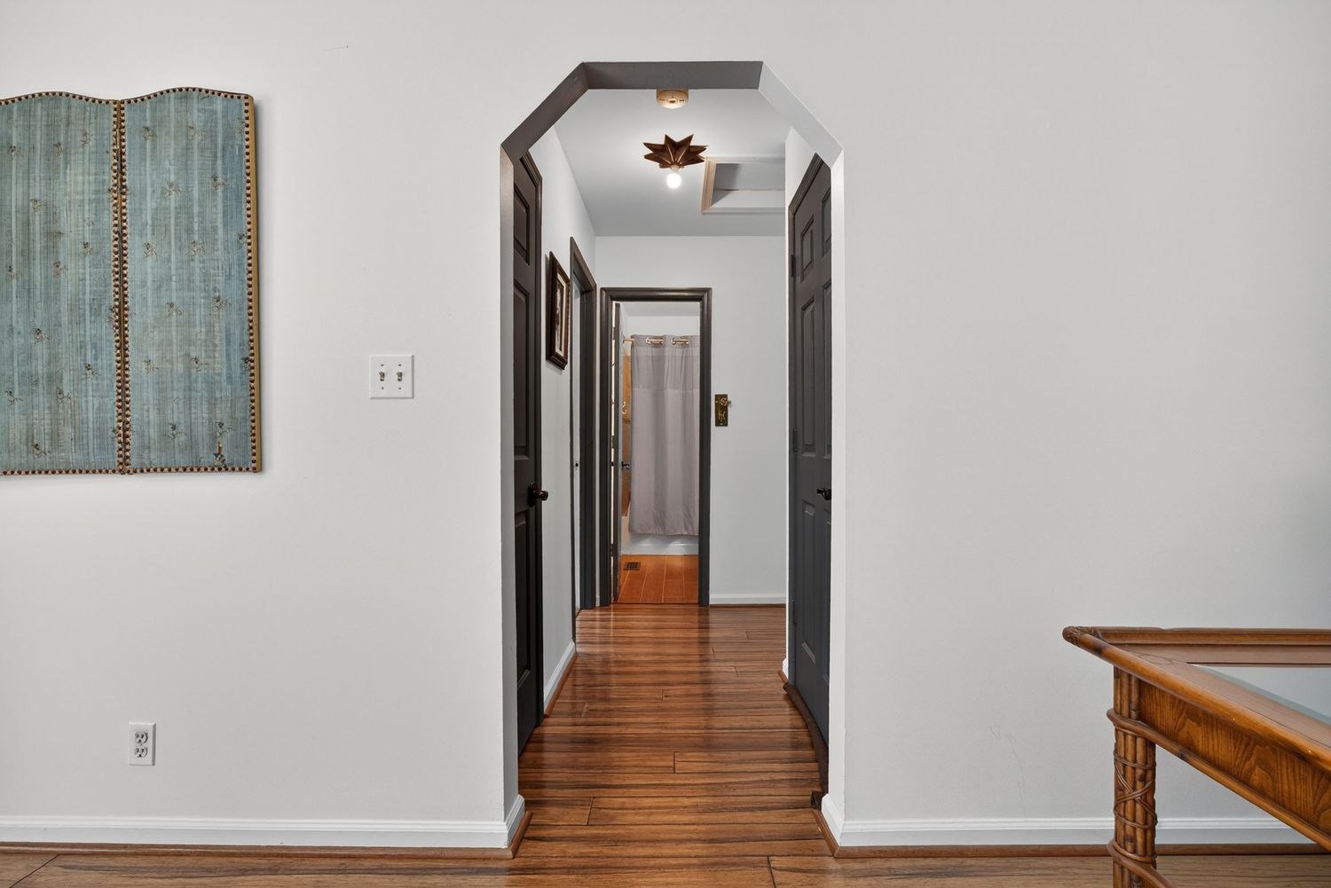Bright hallway with hardwood floors, arched doorway, white walls, and a decorative ceiling light leading to interior rooms.