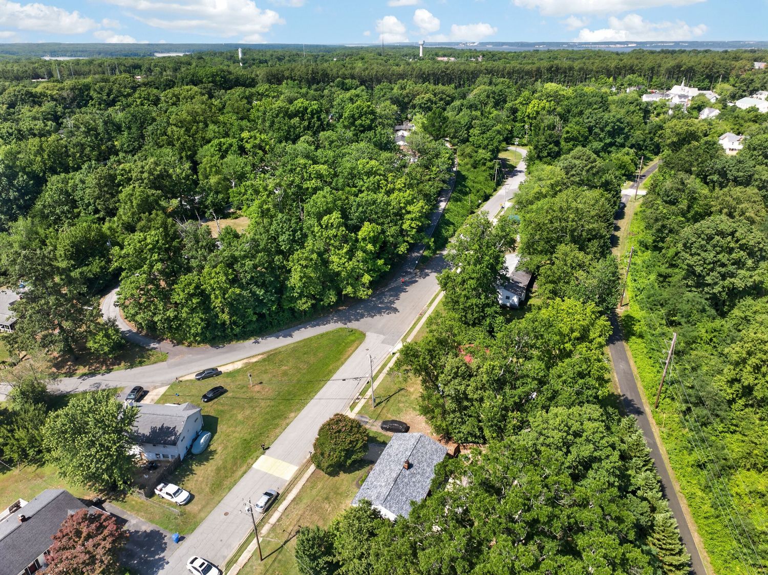 Aerial view of a tree-lined suburban neighborhood with winding roads and lush green canopy on a sunny day.
