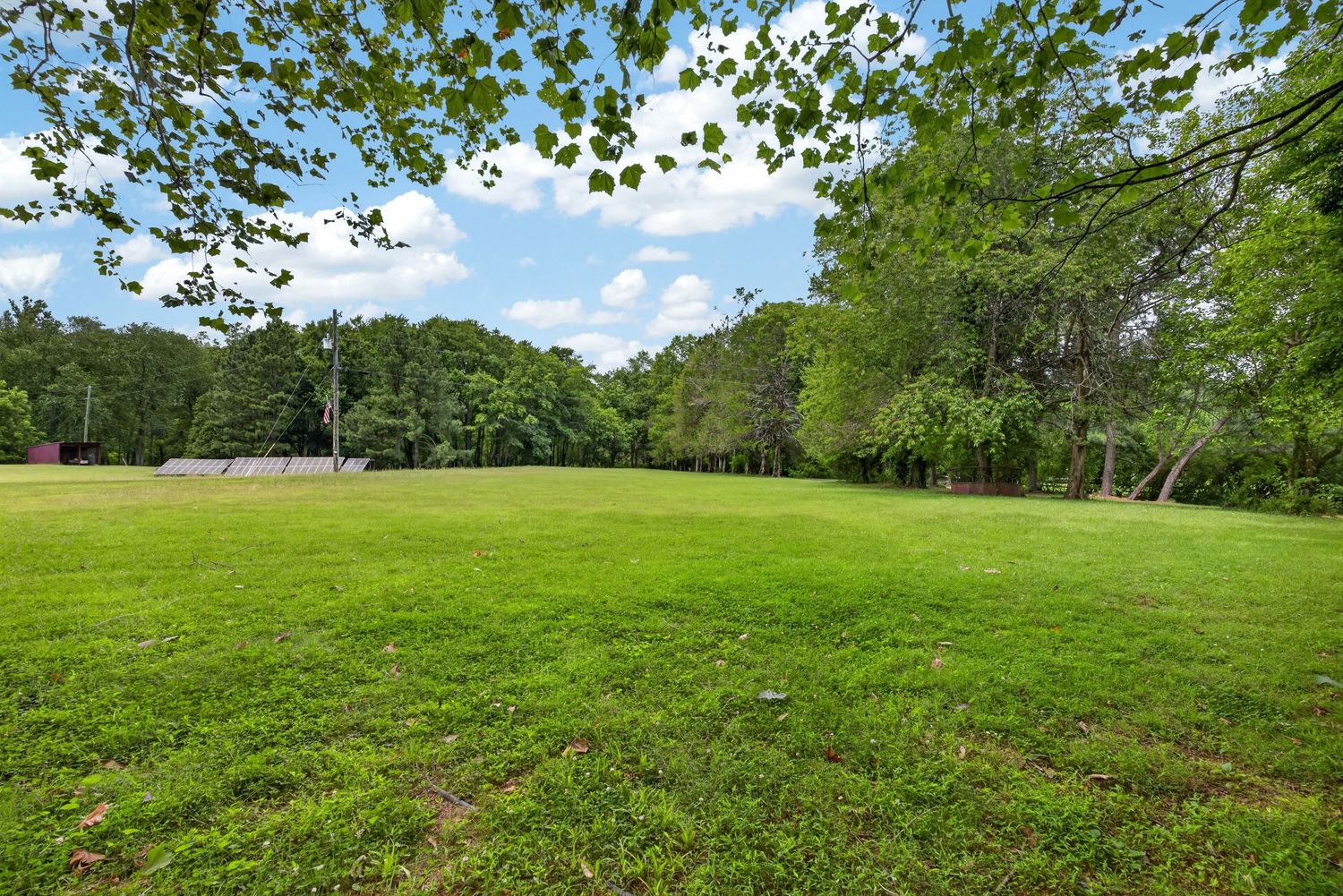 Lush green open lawn surrounded by tall trees under a partly cloudy blue sky in a serene outdoor setting.