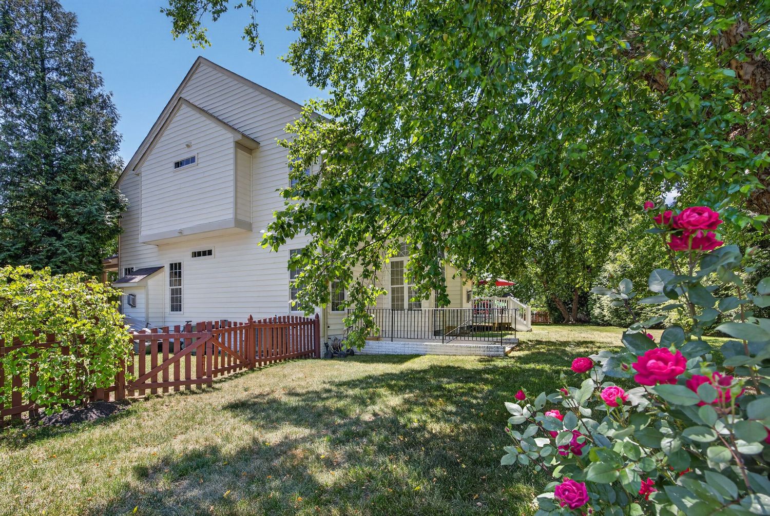 White two-story home with lush green lawn, large shade tree, red wooden fence, and vibrant pink roses in foreground.