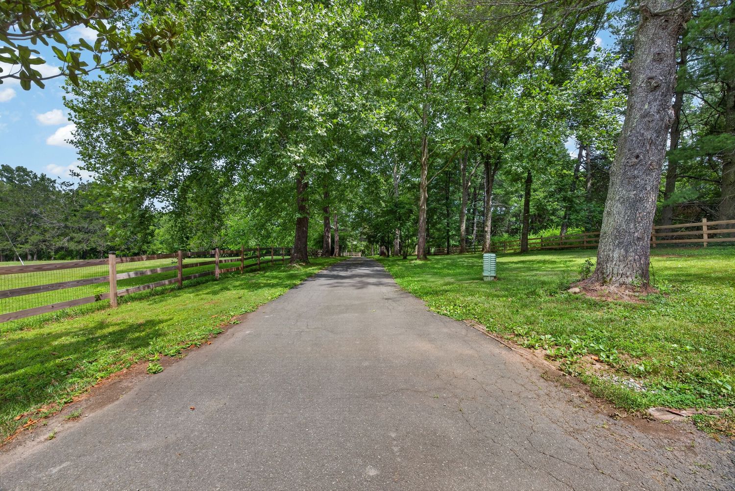A tree-lined paved driveway with wooden fencing and lush green lawn leading to a rural property.