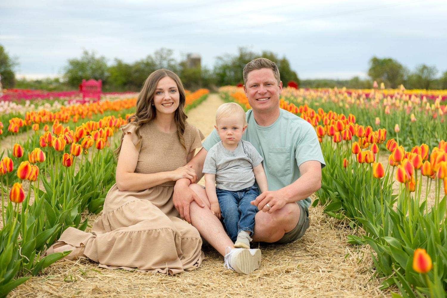 A family sits together in a vibrant field of orange and yellow tulips on a bright spring day. Ottawa Portrait Photographer