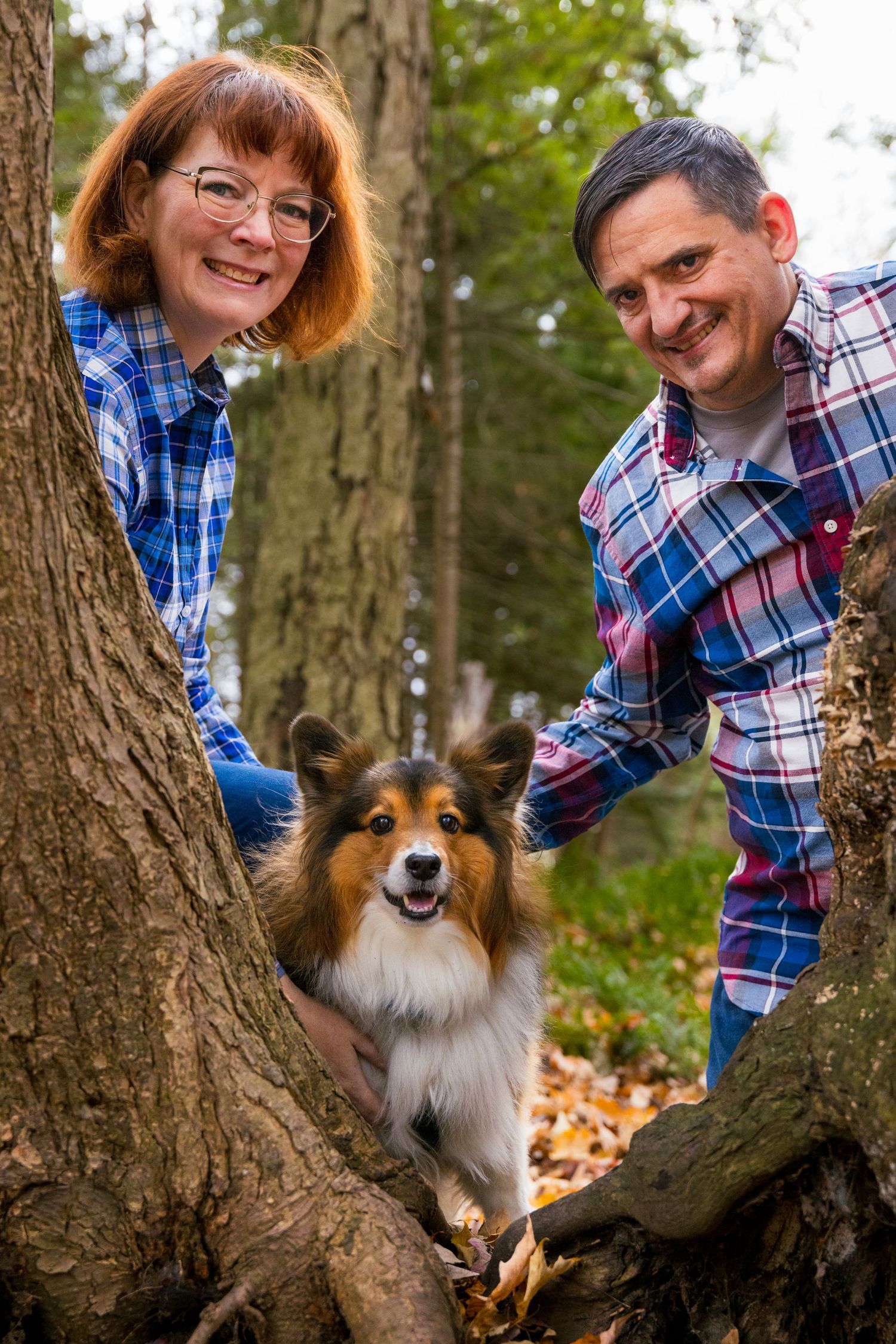 A happy Sheltie dog stands between tree roots in the forest while two people wearing plaid shirts peek around the trunk.
