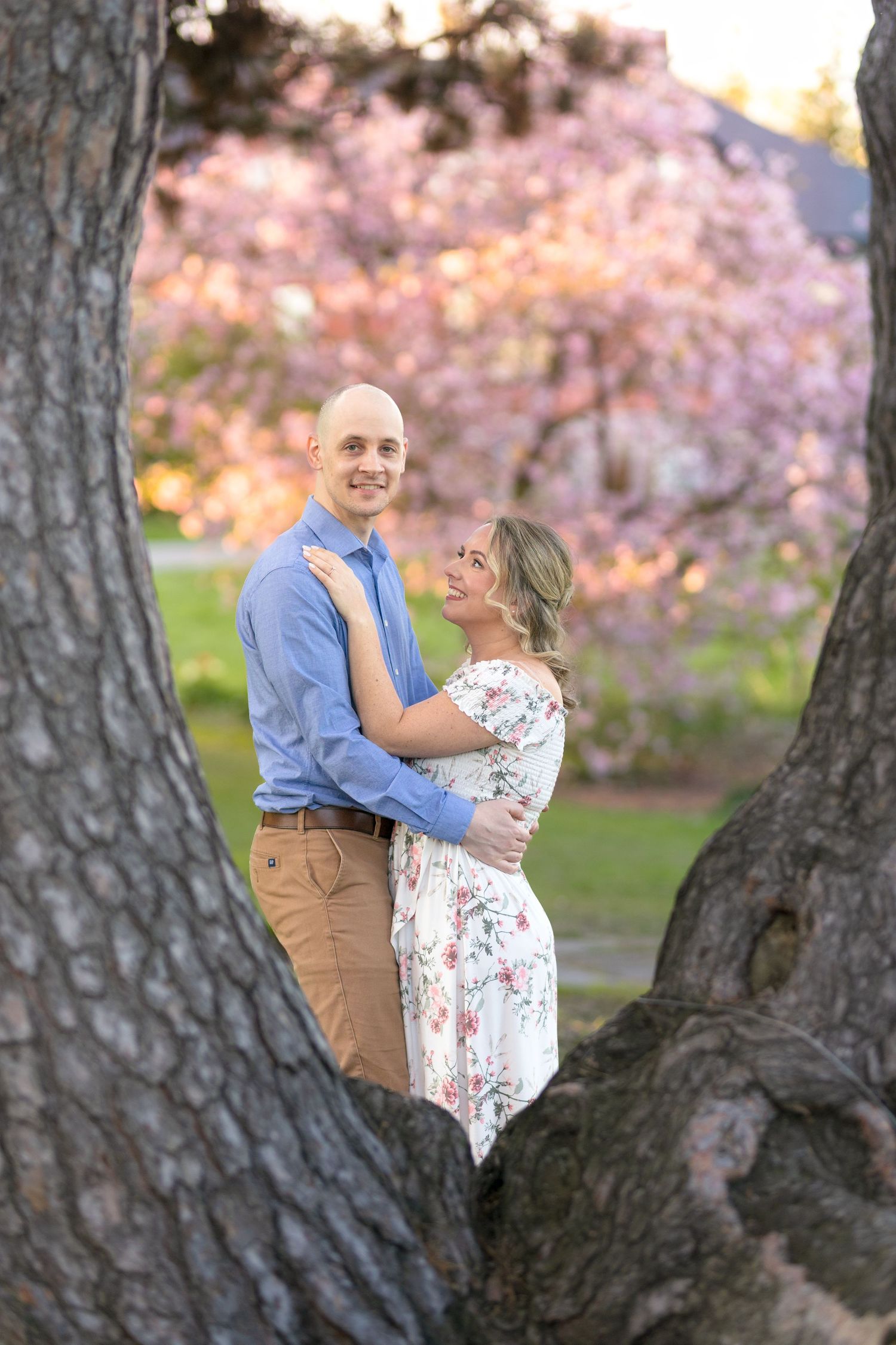 A couple embraces between two large tree trunks with pink cherry blossoms in the background. Ottawa Wedding Photographer
