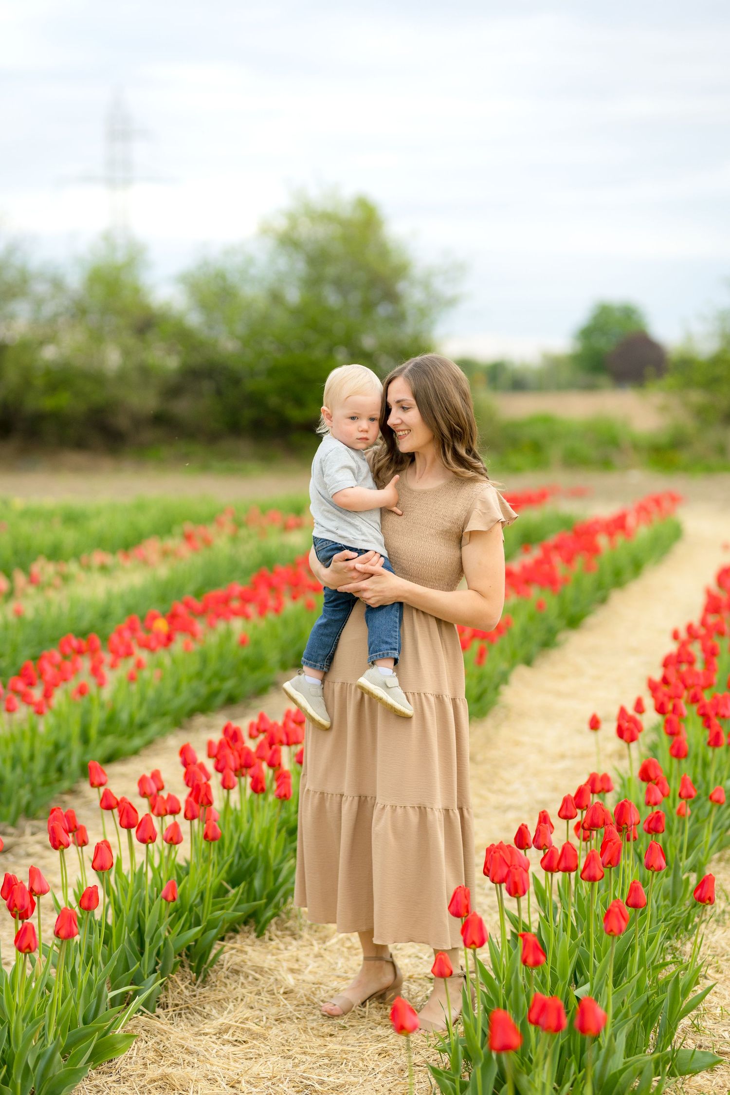 A parent and child share tender moments while walking through vibrant rows of red tulips on a flower farm. Ottawa portrait photographer