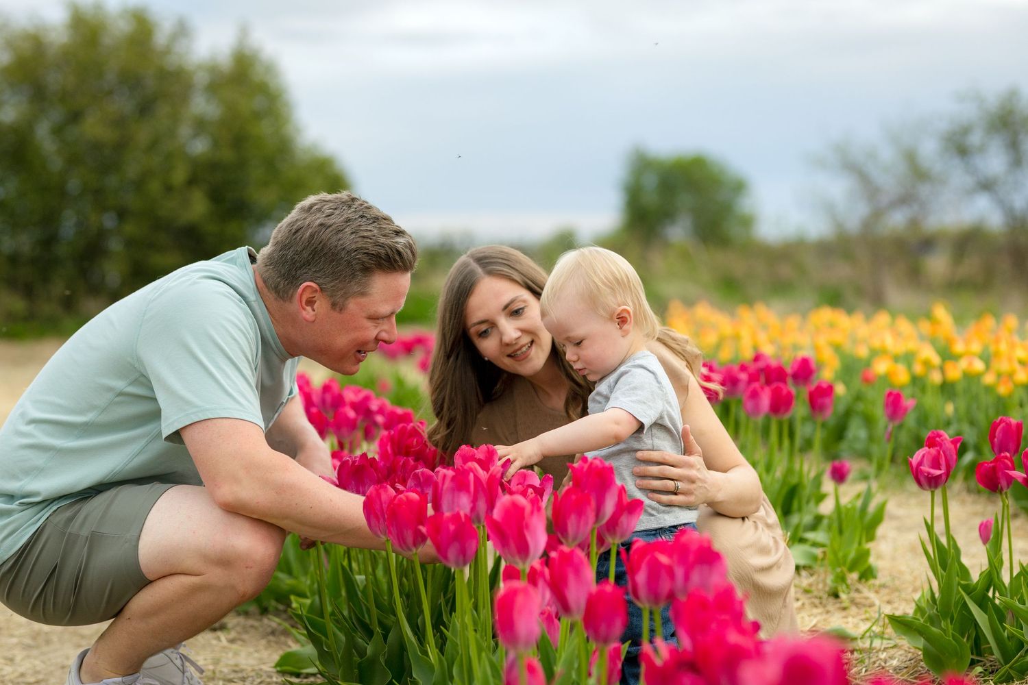A family enjoying a spring day together among vibrant pink tulips in a blooming flower field. Ottawa Portrait Photographer