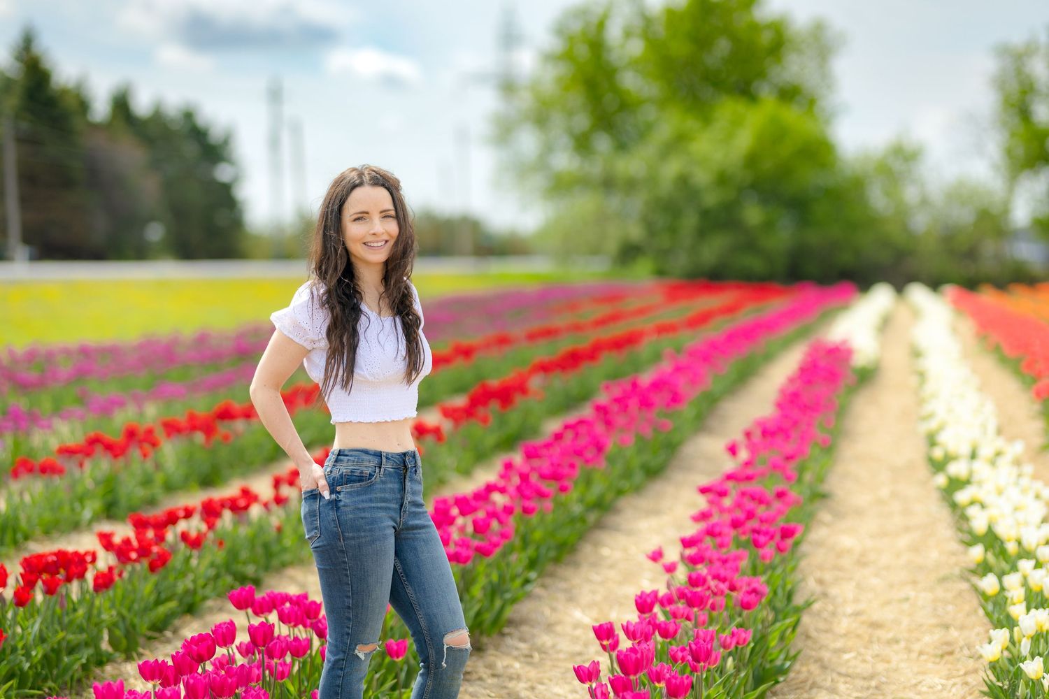 Woman in jeans and white top walks through vibrant rows of pink and red tulips in a blooming tulip field lifestyle portrait session