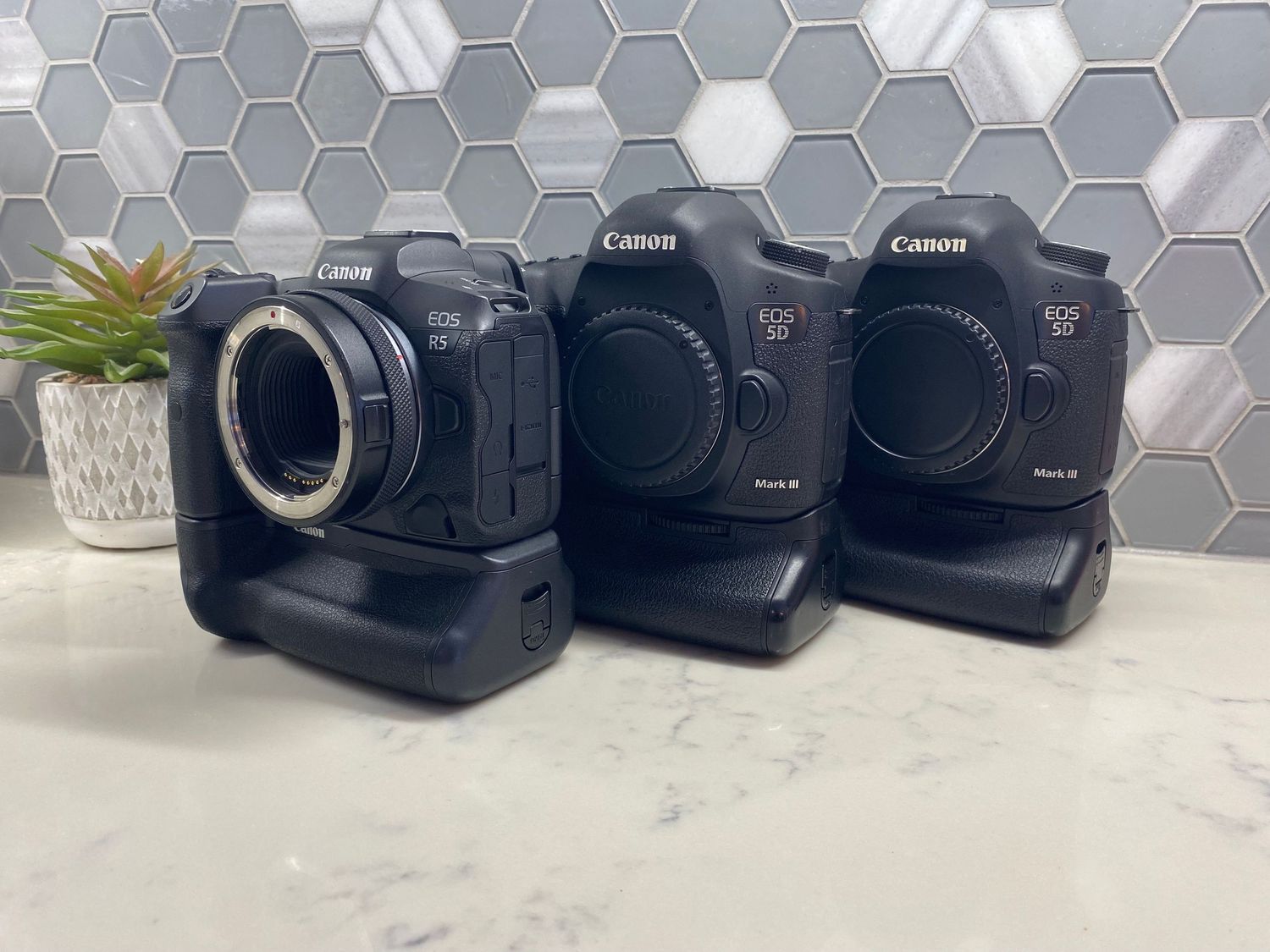 Three professional Canon DSLR cameras with battery grips sitting on a gray hexagonal-patterned surface next to a small plant.