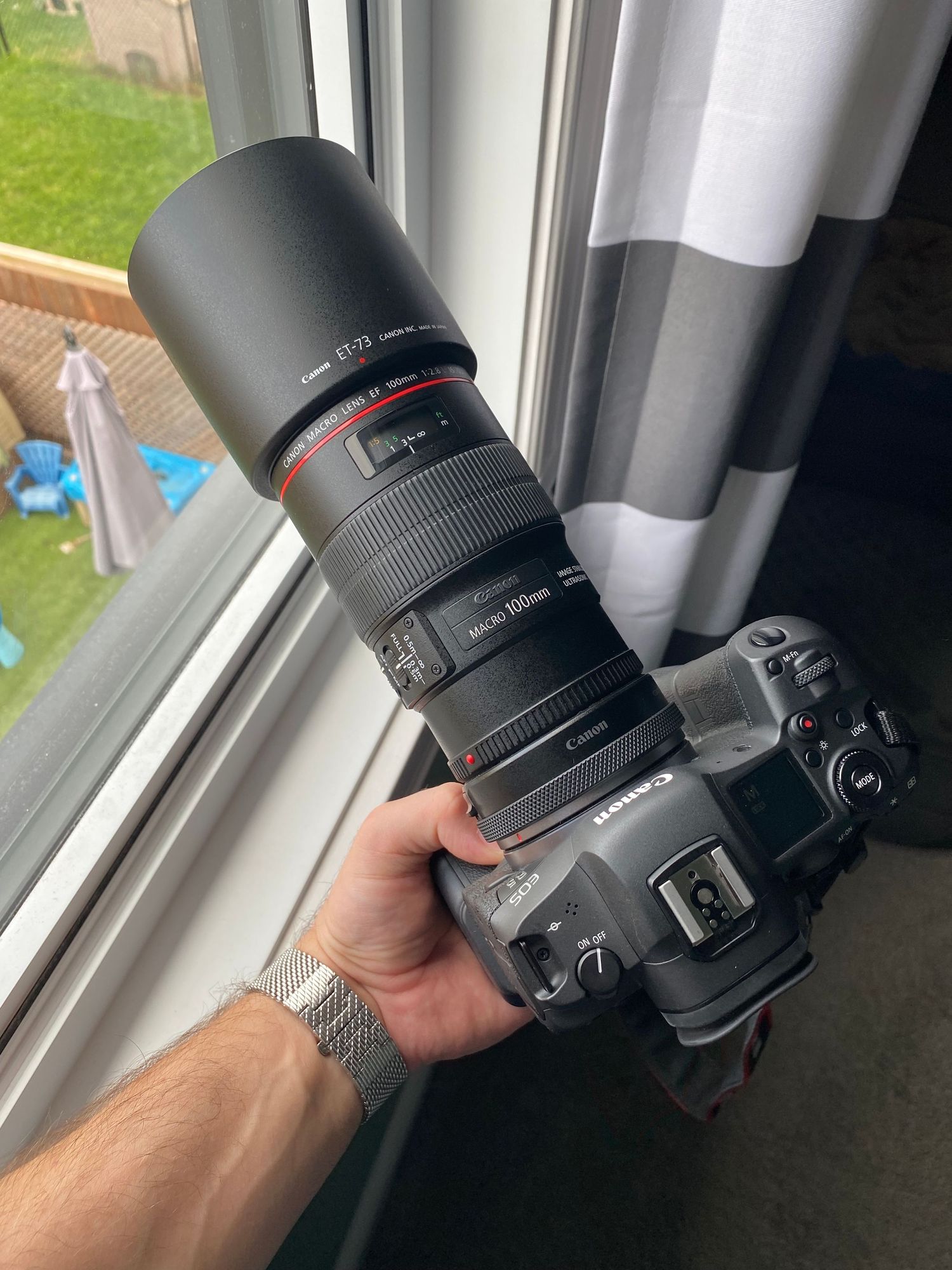 Canon 100mm F2.8 Macro | Canon R5 | Tim Gowling Photography