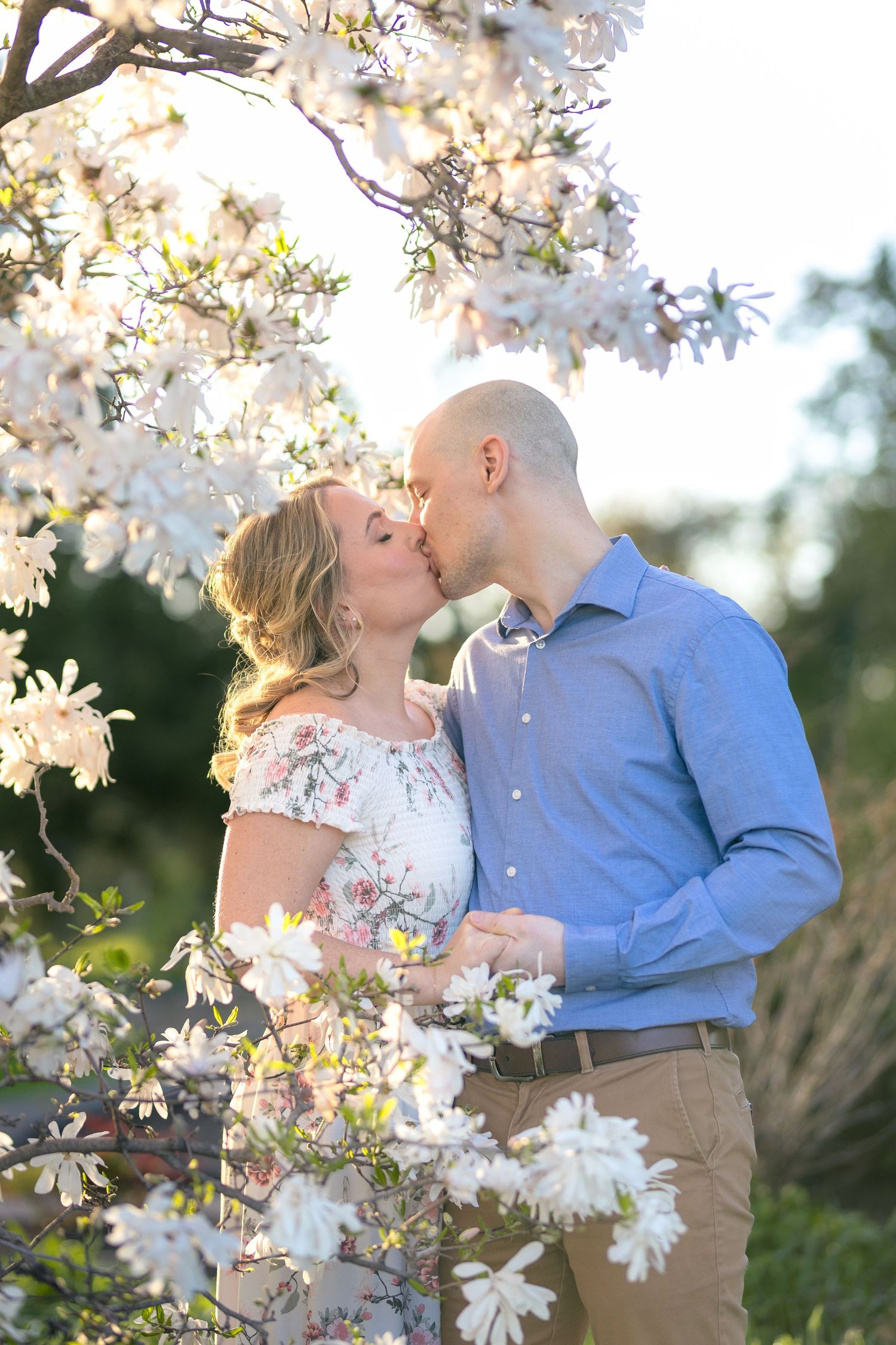 A romantic kiss shared under blooming white magnolia flowers in soft natural light. Ottawa Wedding Photographer