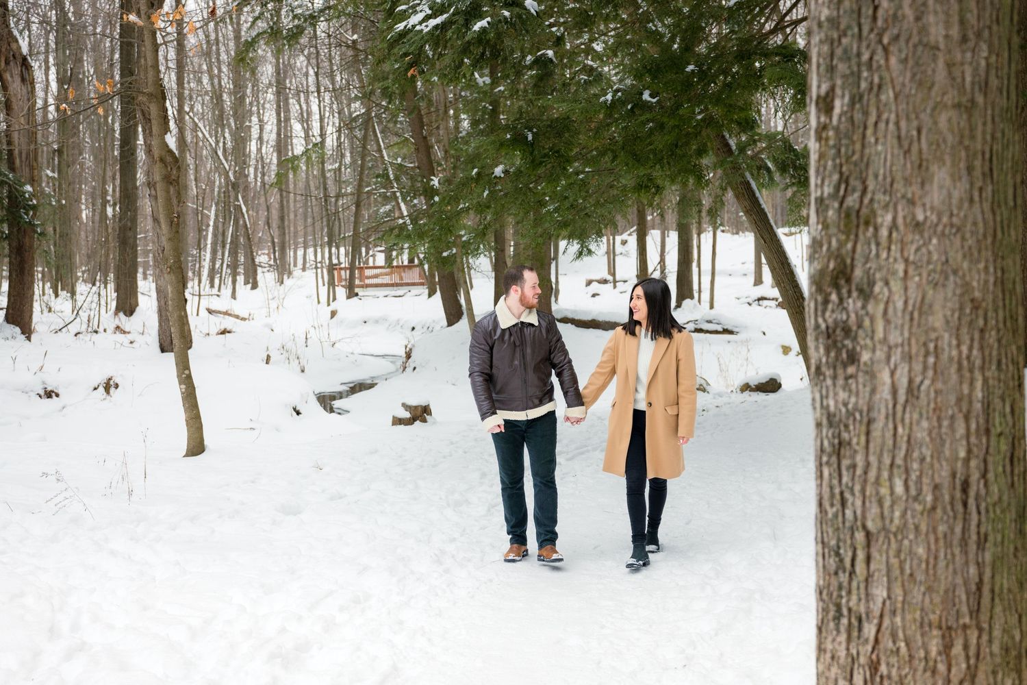 A wide-angle shot of the couple walking hand-in-hand along a snow-dusted path, framed by winter trees.
