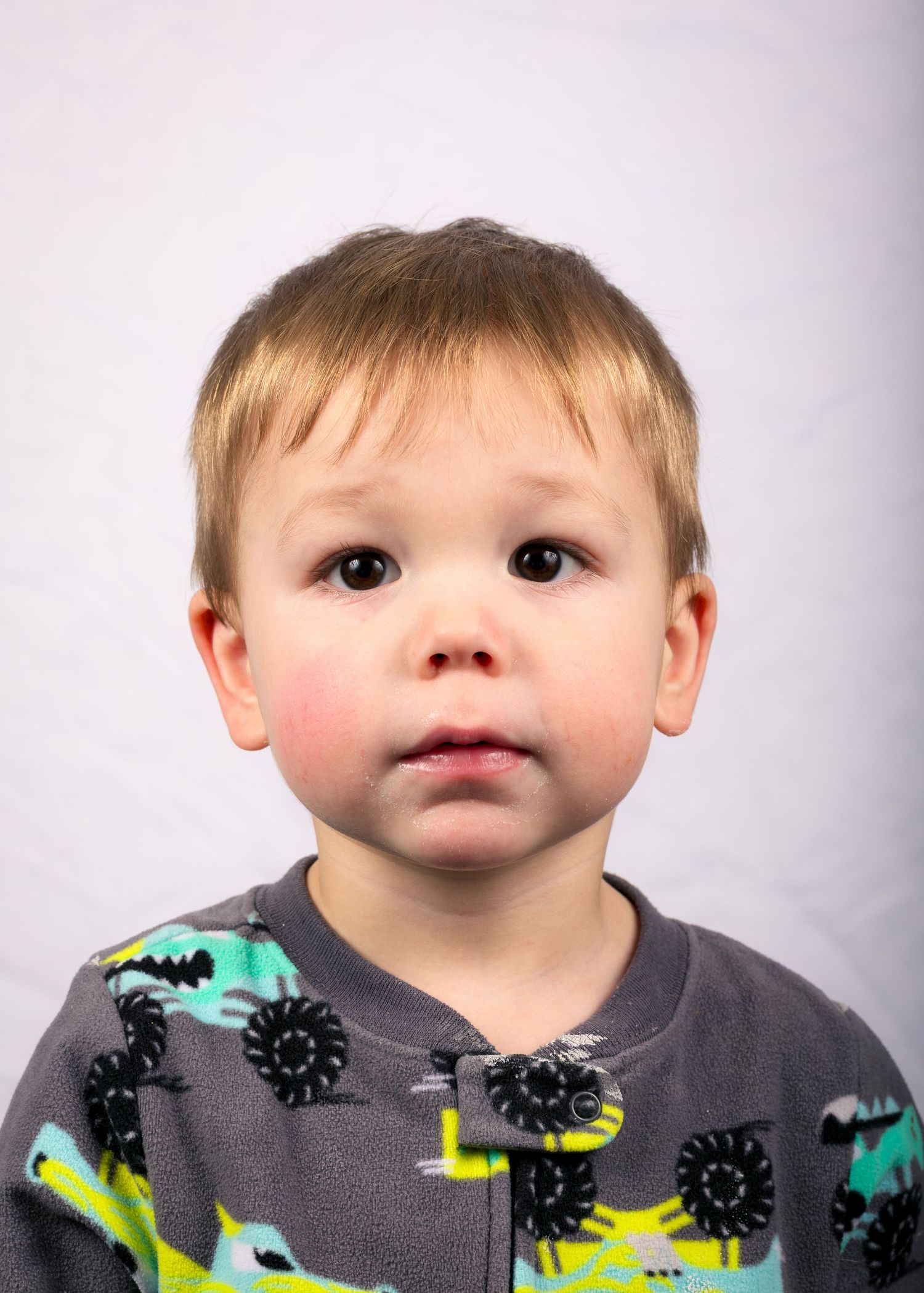 A young toddler boy with blonde hair wearing a gray dinosaur print fleece pajama top poses for a passport photo in Ottawa