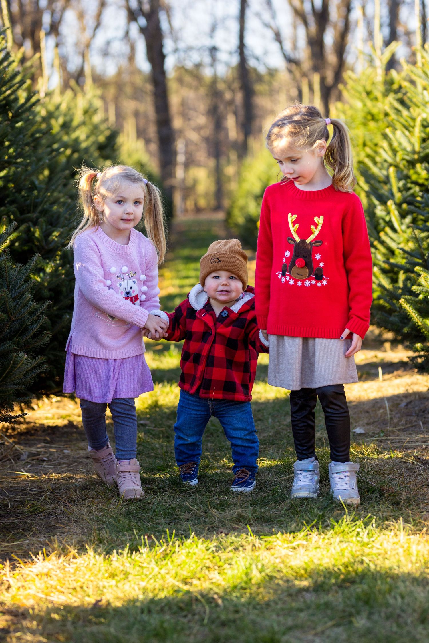 Cedar Hill Christmas Tree Farm Hallmark Family Portraits | Ottawa Photographer | Tim Gowling Photography