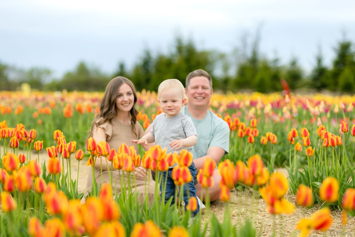 A family sits together in a vibrant field of orange and yellow tulips on a bright spring day. Ottawa Portrait Photographer