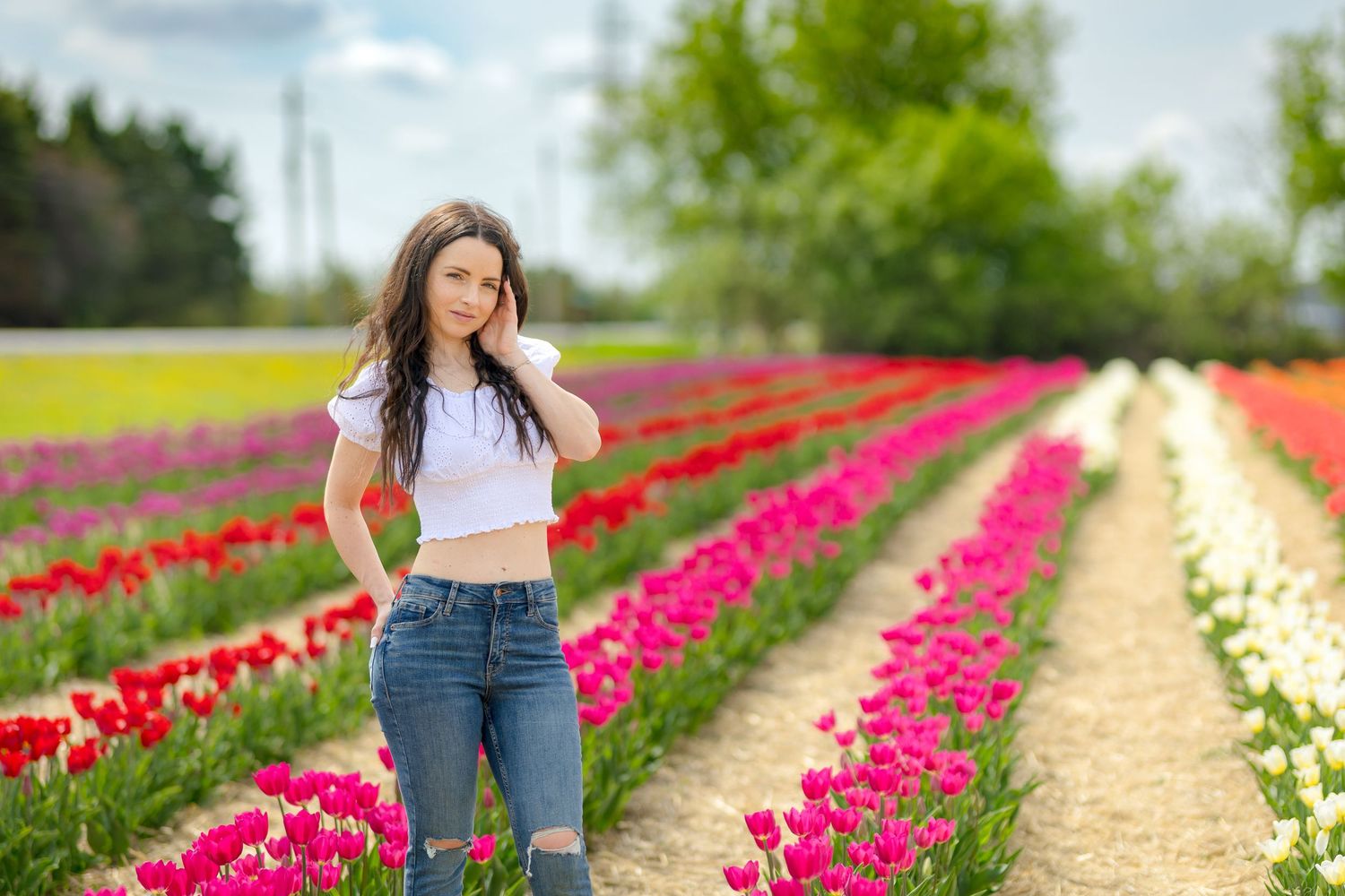 A scenic view of colourful tulip fields with rows of pink and white flowers stretching into the distance. Ottawa Portrait Photographer