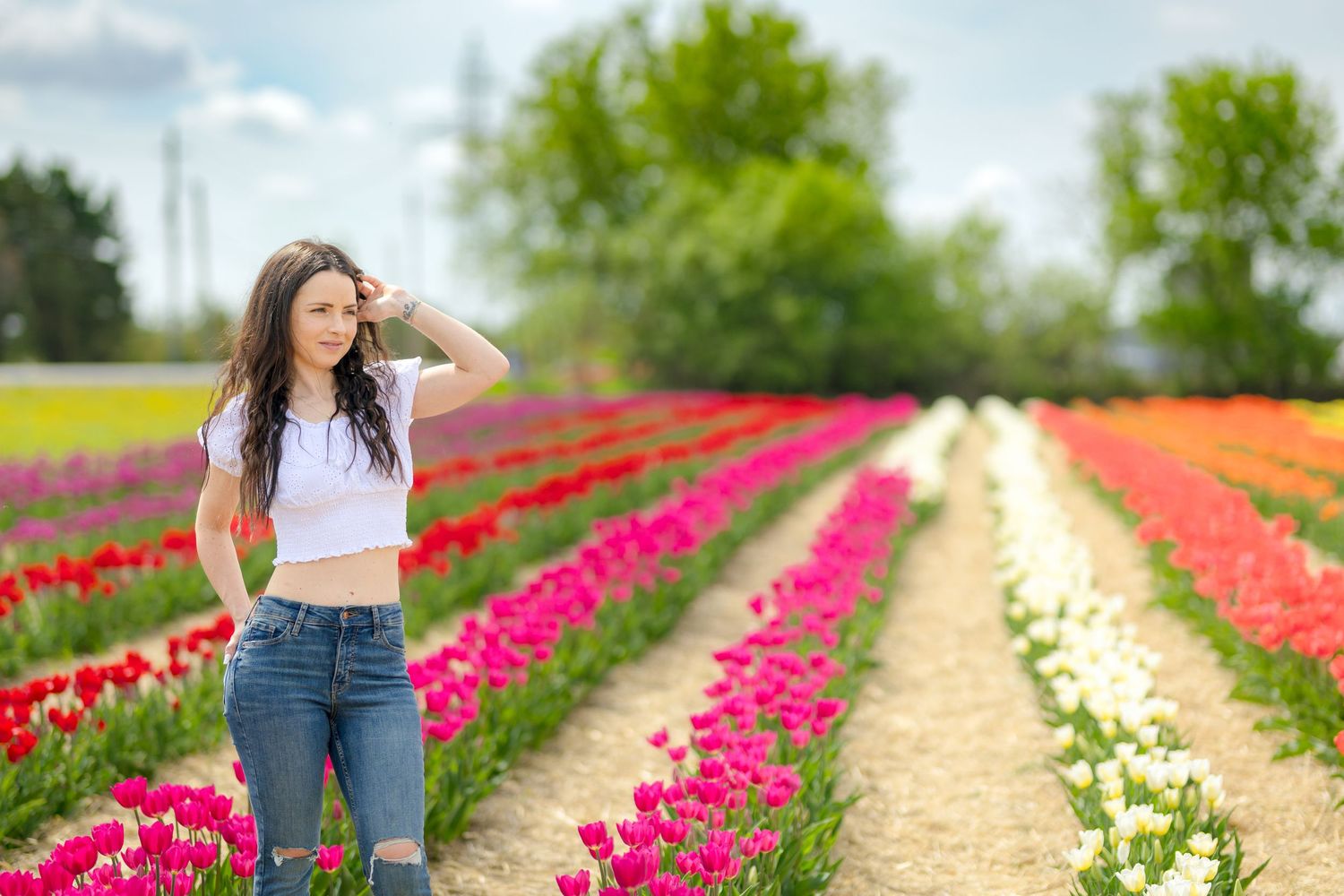 Vibrant rows of pink tulips stretch into the distance on a sunny spring day at a flower farm. Ottawa Portrait Photographer