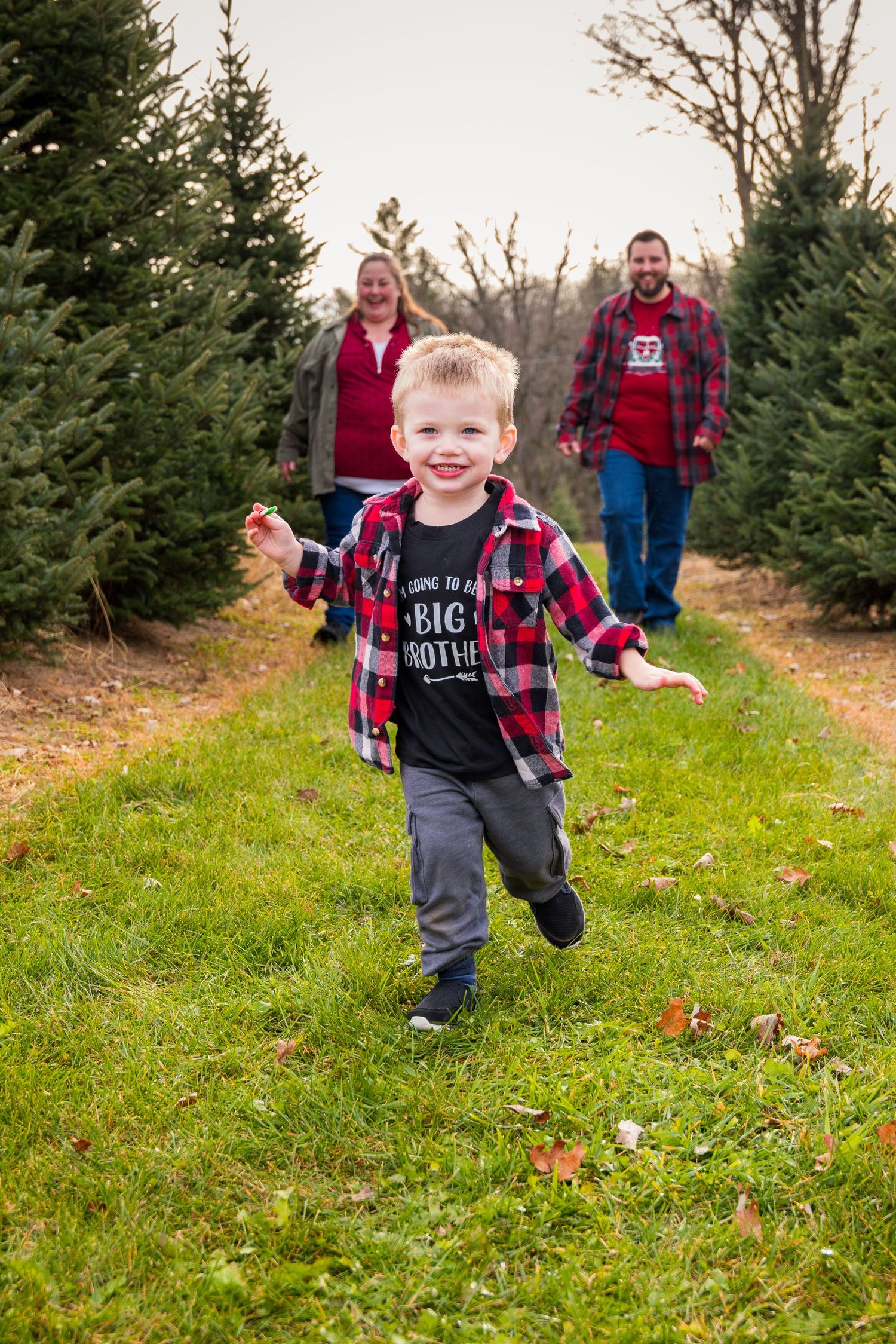 A joyful scene at a Christmas tree farm with people in plaid shirts walking among evergreen trees on a fall day.
