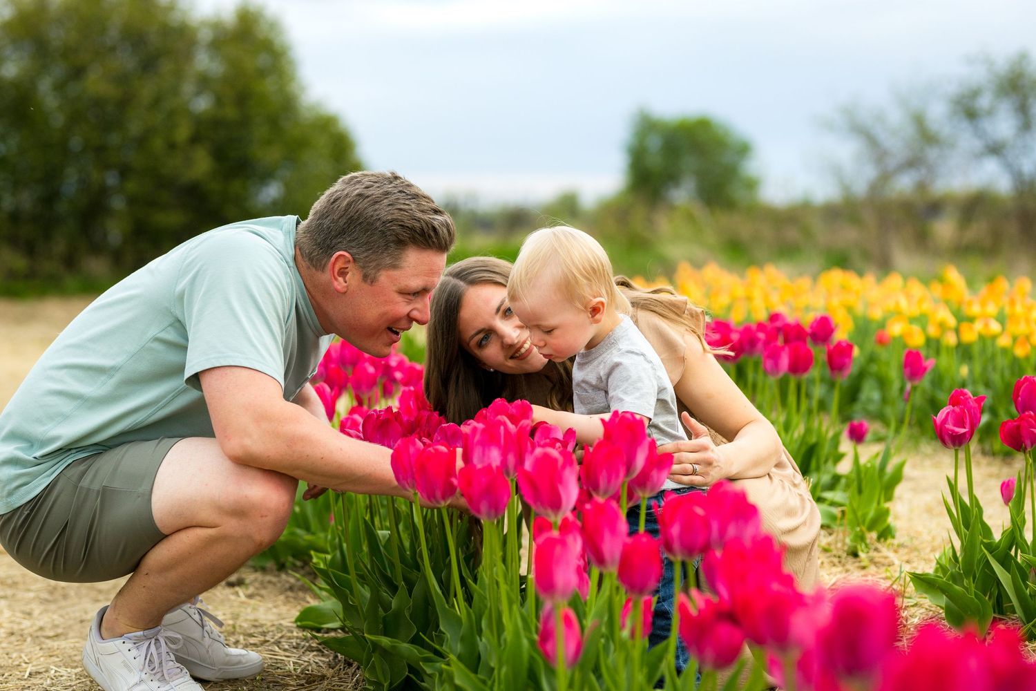 Three people crouch to admire vibrant pink and yellow tulips blooming in a sunny garden field. Ottawa Wedding Photographer