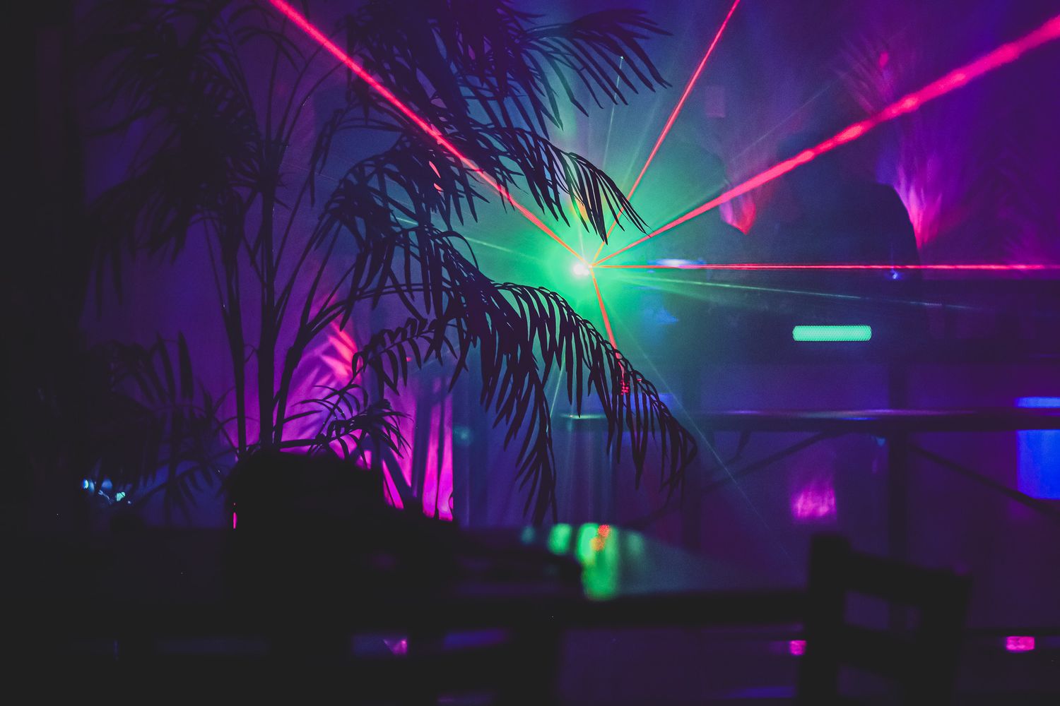 Lasers behind a tropical plant.