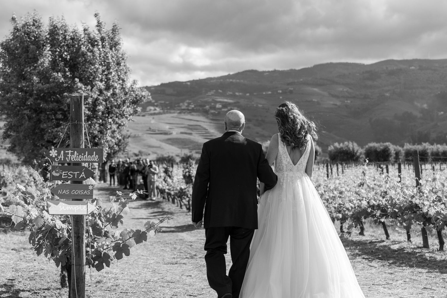 Noiva a caminhar com o pai, nas vinhas do Douro, na Quinta da Pacheca, momento intimista antes da cerimonia.