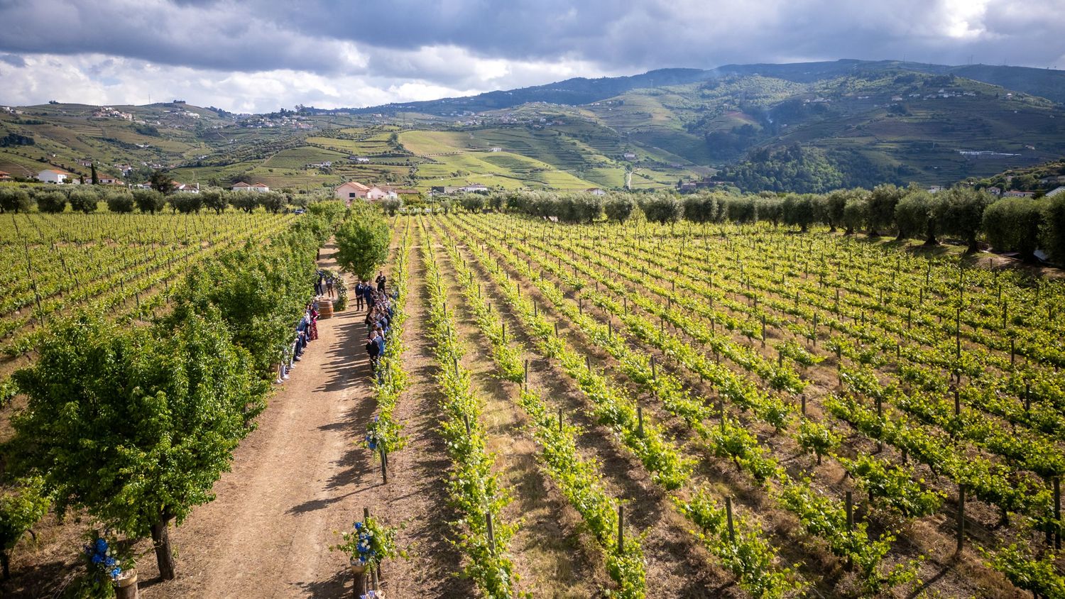 Paisagem das vinhas do Douro na Quinta da Pacheca, cenário envolvente para casamento ao ar livre.
