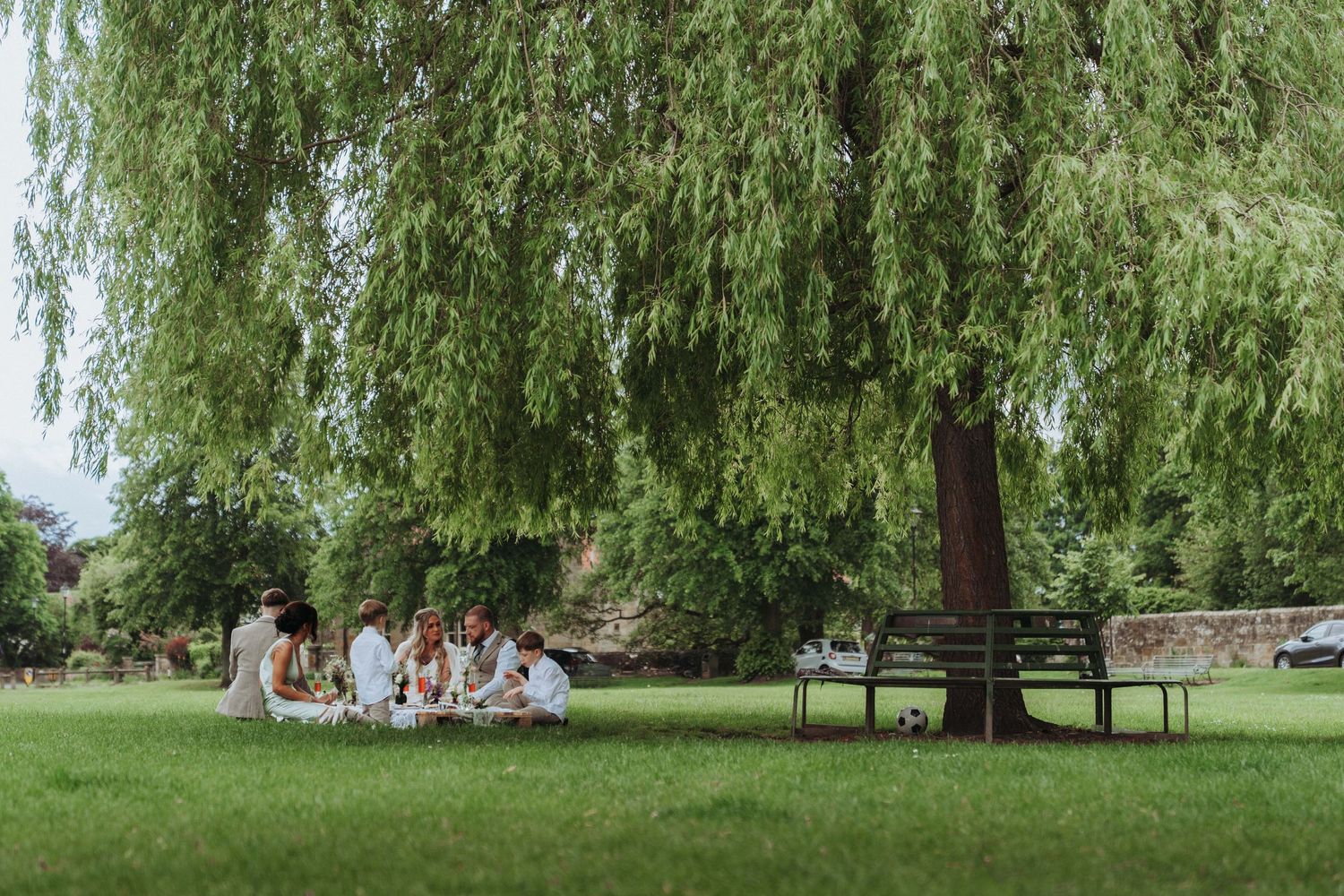 Wedding guests gathered under a large weeping willow tree on a lush green lawn for an outdoor celebration.