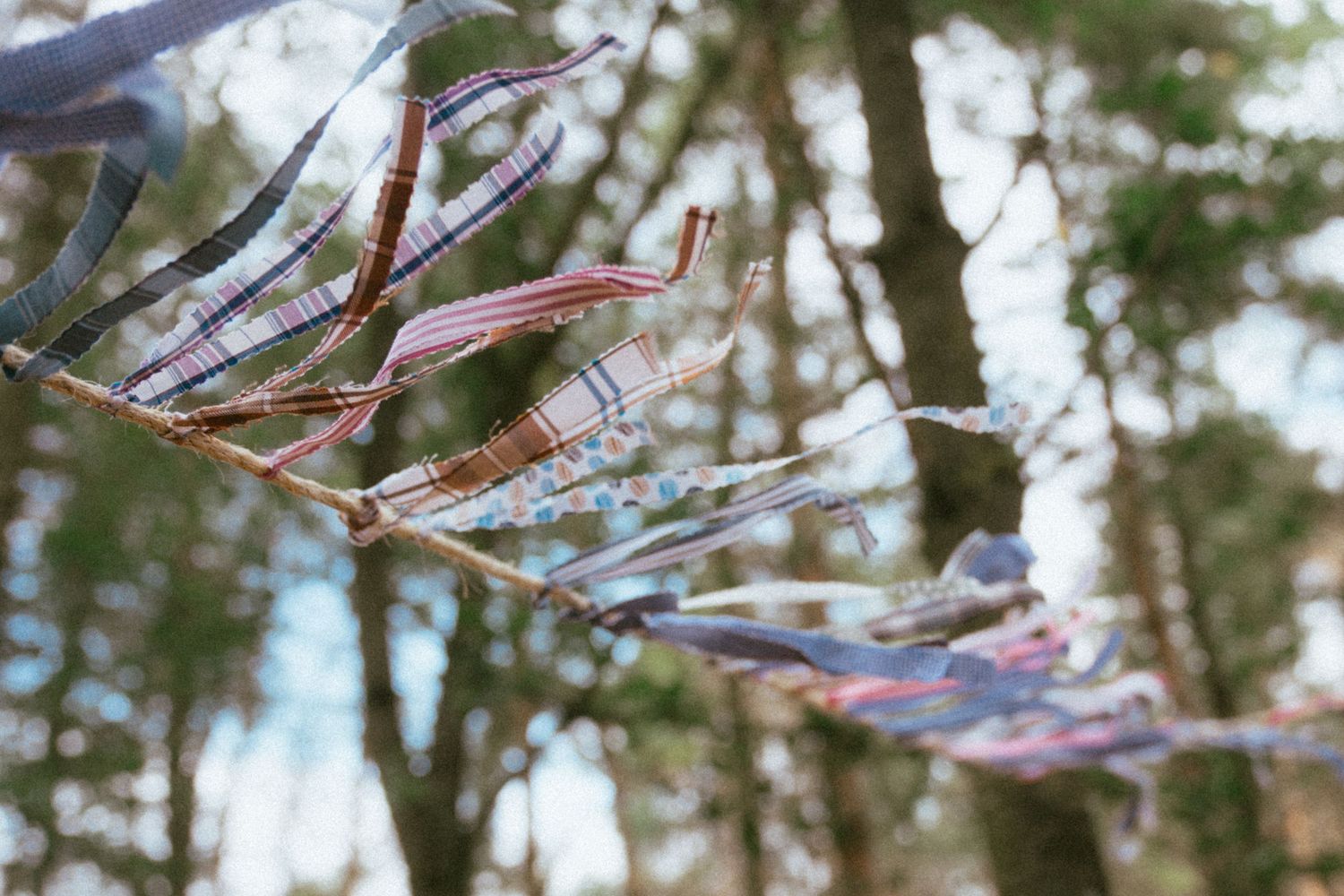 Colorful fabric strips tied to tree branches flutter in a forest setting, creating a whimsical outdoor decoration.