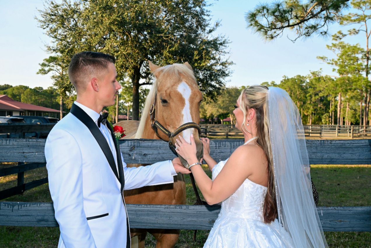 wedding