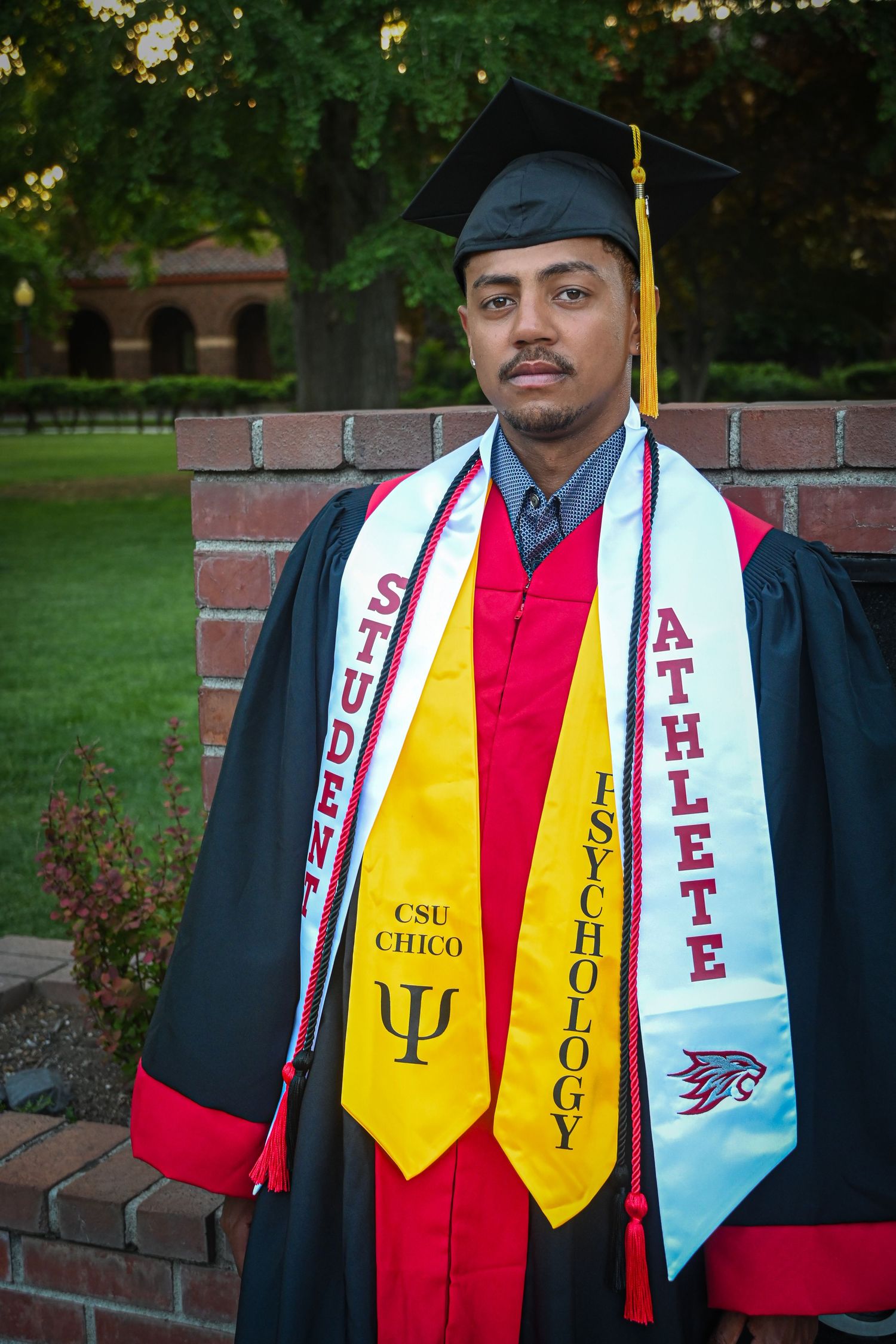 Graduate in cap and gown wearing multiple honor stoles and cords stands in front of brick wall and green trees.