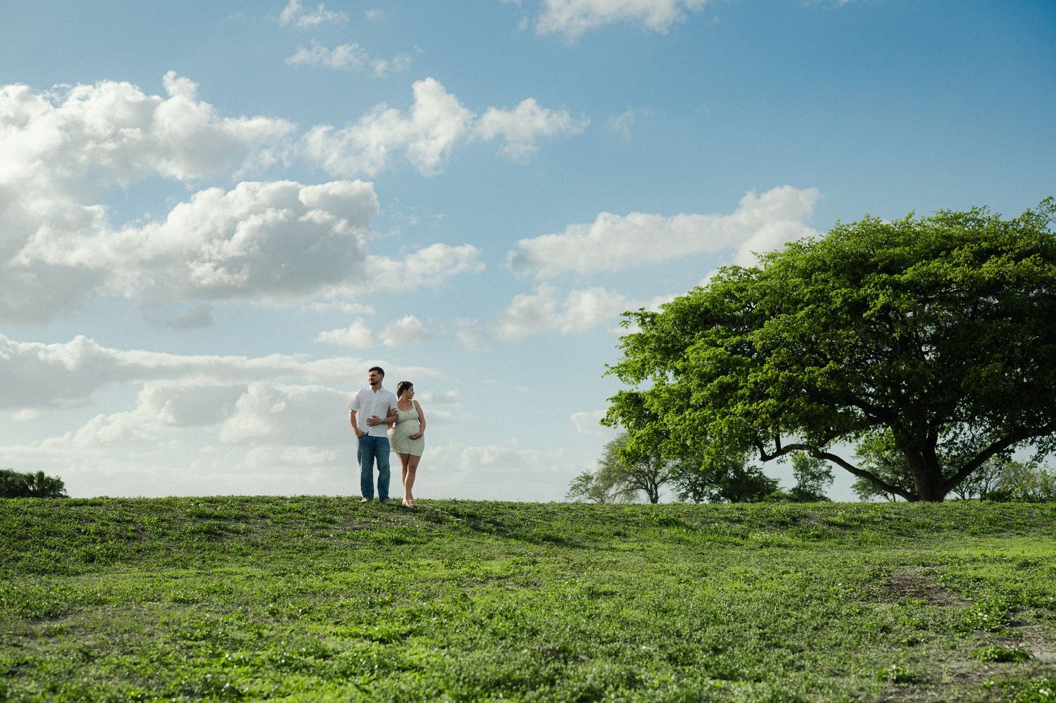 Couple standing hand in hand on a grassy hill beneath a large tree and a bright blue sky with clouds.