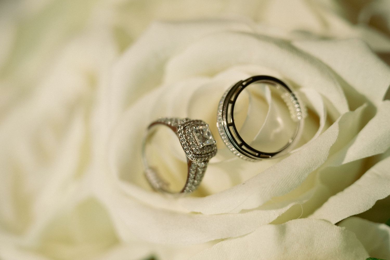 Two elegant wedding rings, a diamond halo engagement ring and a silver band, resting inside a white rose.