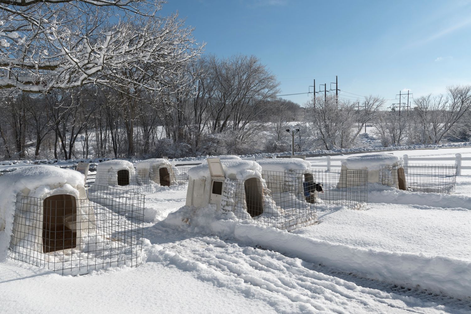 Snow covered farm buildings and equipment on a winter landscape with bare trees.