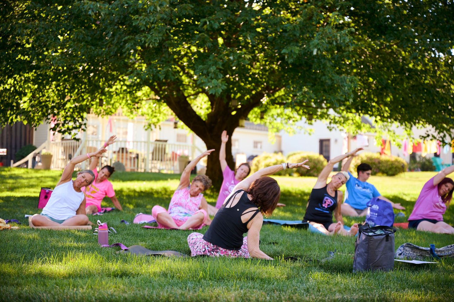 Group of women practicing outdoor yoga on green grass under a large tree in a park during a sunny day.