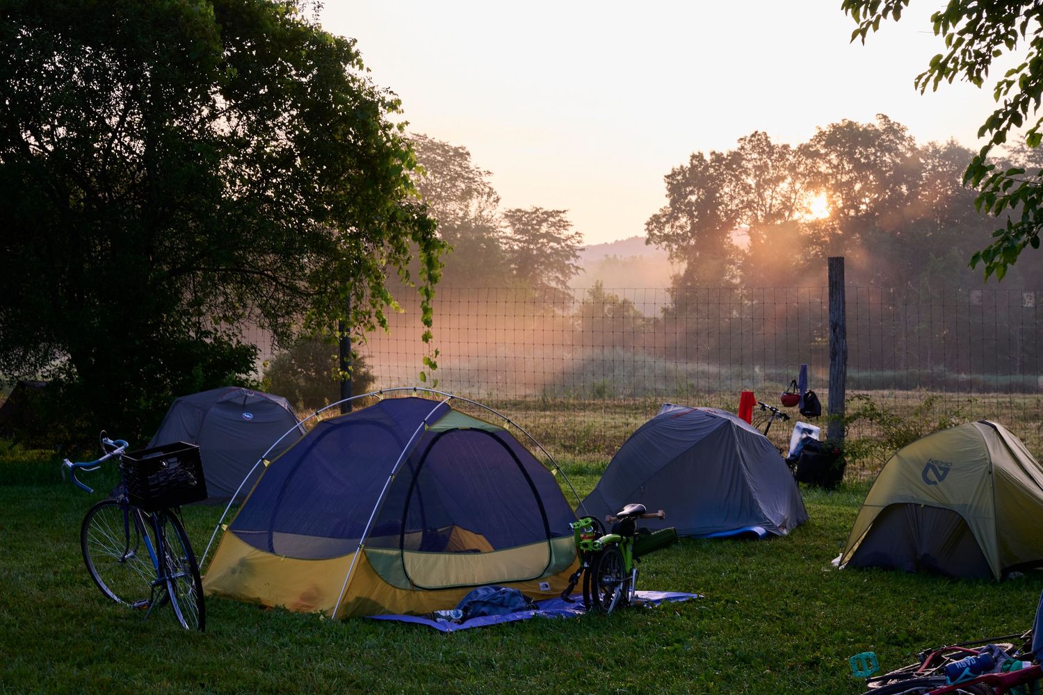Row of camping tents set up in a misty field during sunrise or sunset.