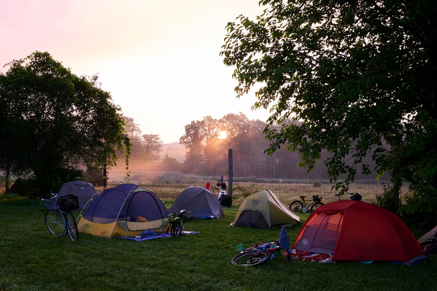 A series of camping tents set up in a field at sunset with warm golden light filtering through trees.