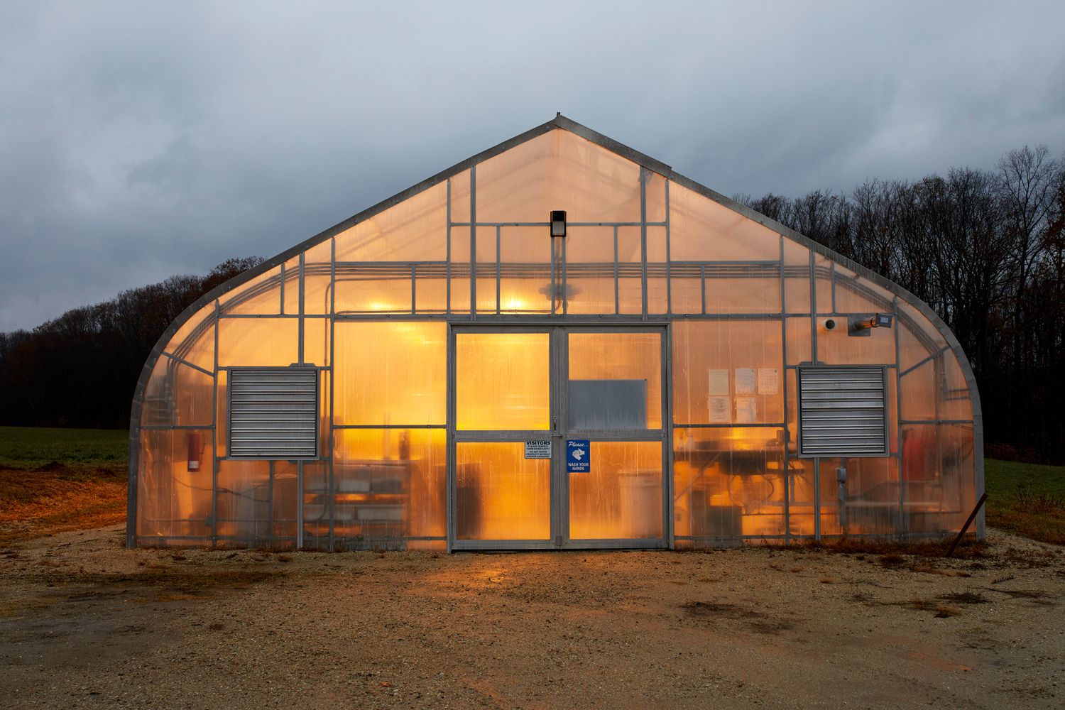 Exterior view of illuminated greenhouses at dusk with dramatic cloudy sky.