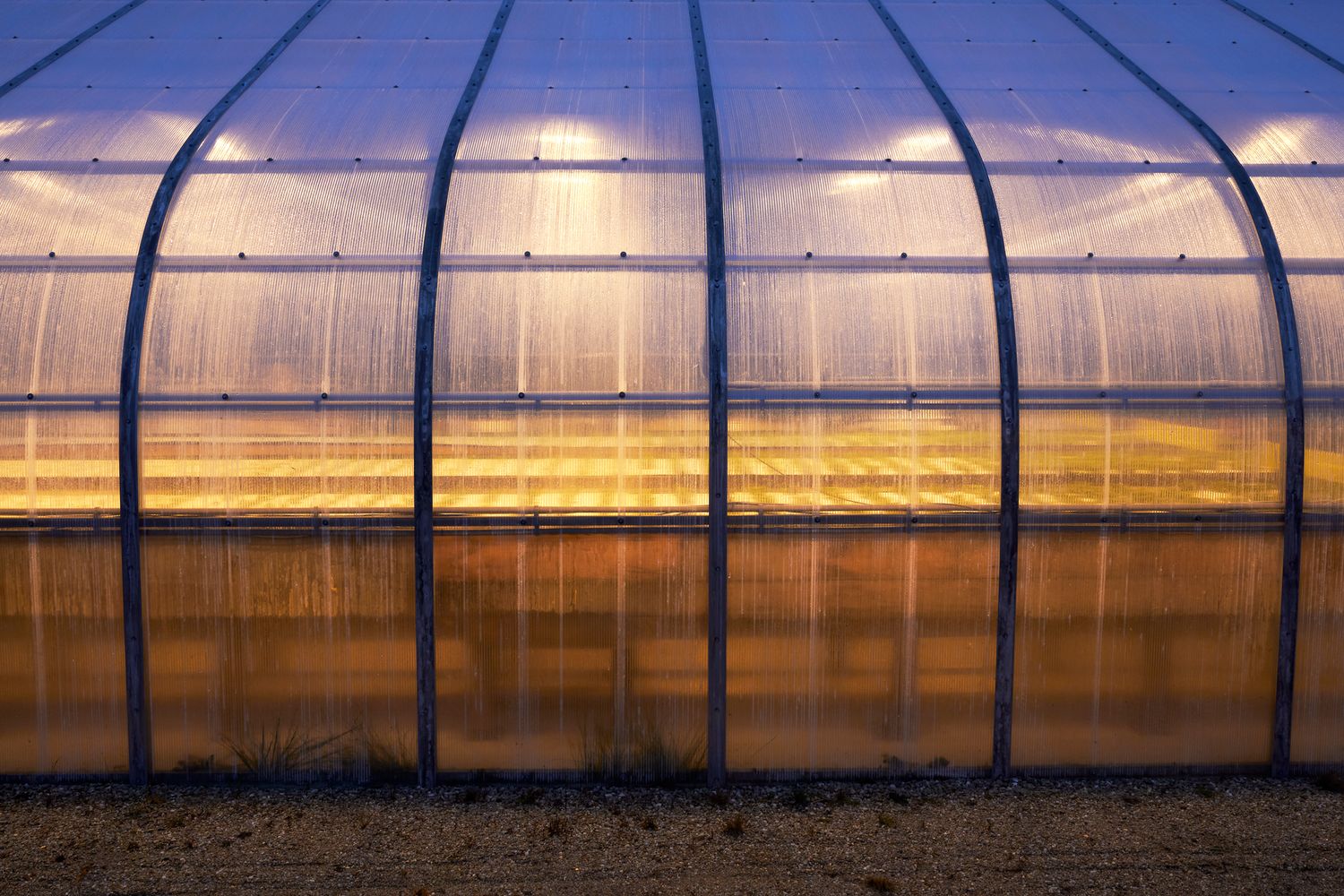 Exterior view of a large commercial greenhouse with translucent panels at sunset.