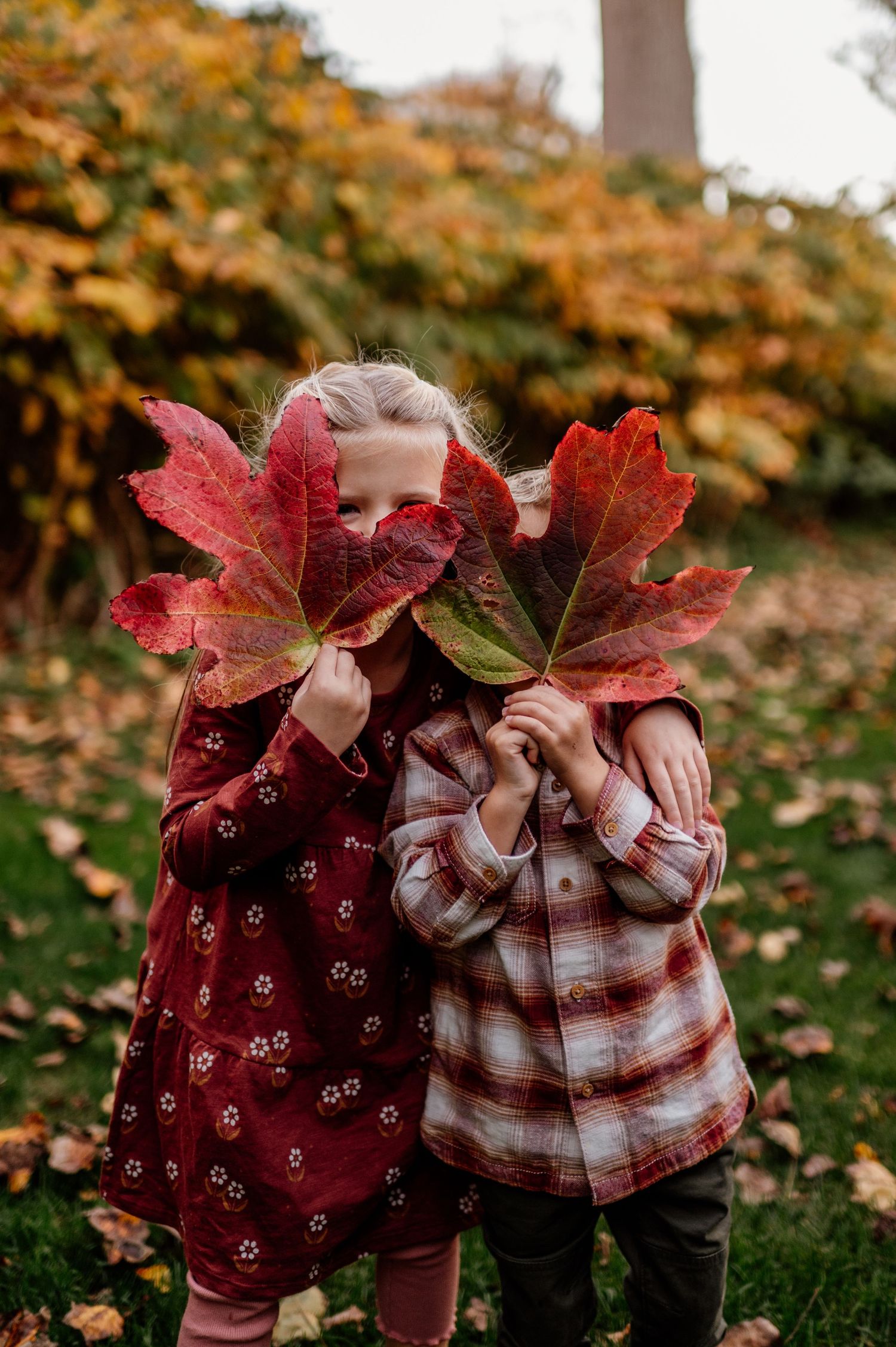 Two people holding large red maple leaves in front of their faces while wearing plaid and floral shirts.