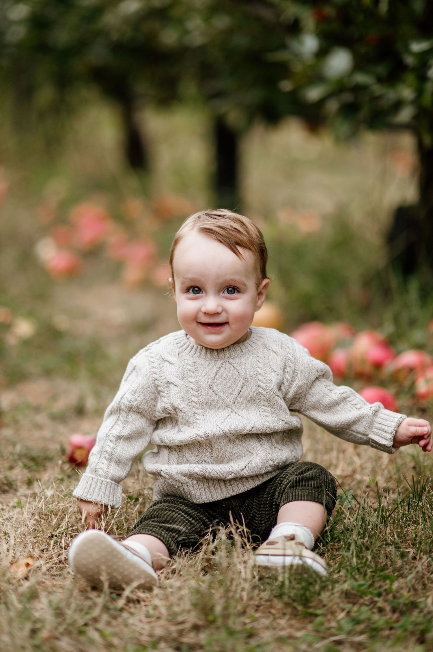 Baby in knit sweater sitting on grass surrounded by fallen apples in autumn.