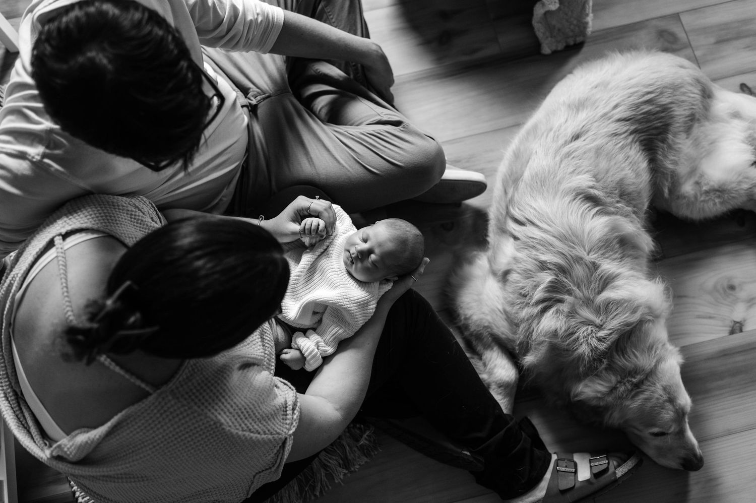 Series of black and white photos showing affectionate moments between people and their pets on a hardwood floor.