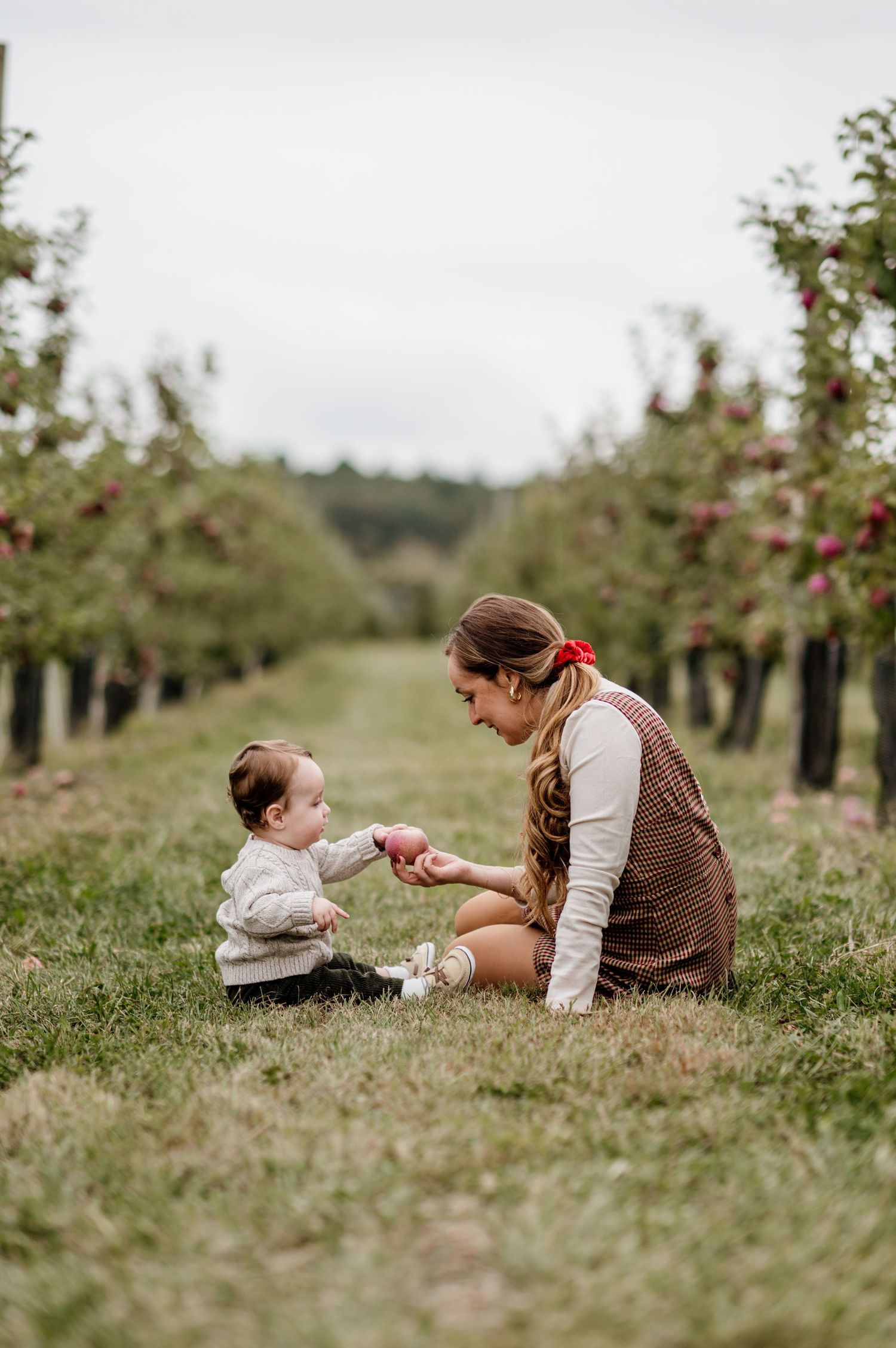 Parent and child picking apples together in an orchard on a cloudy day.