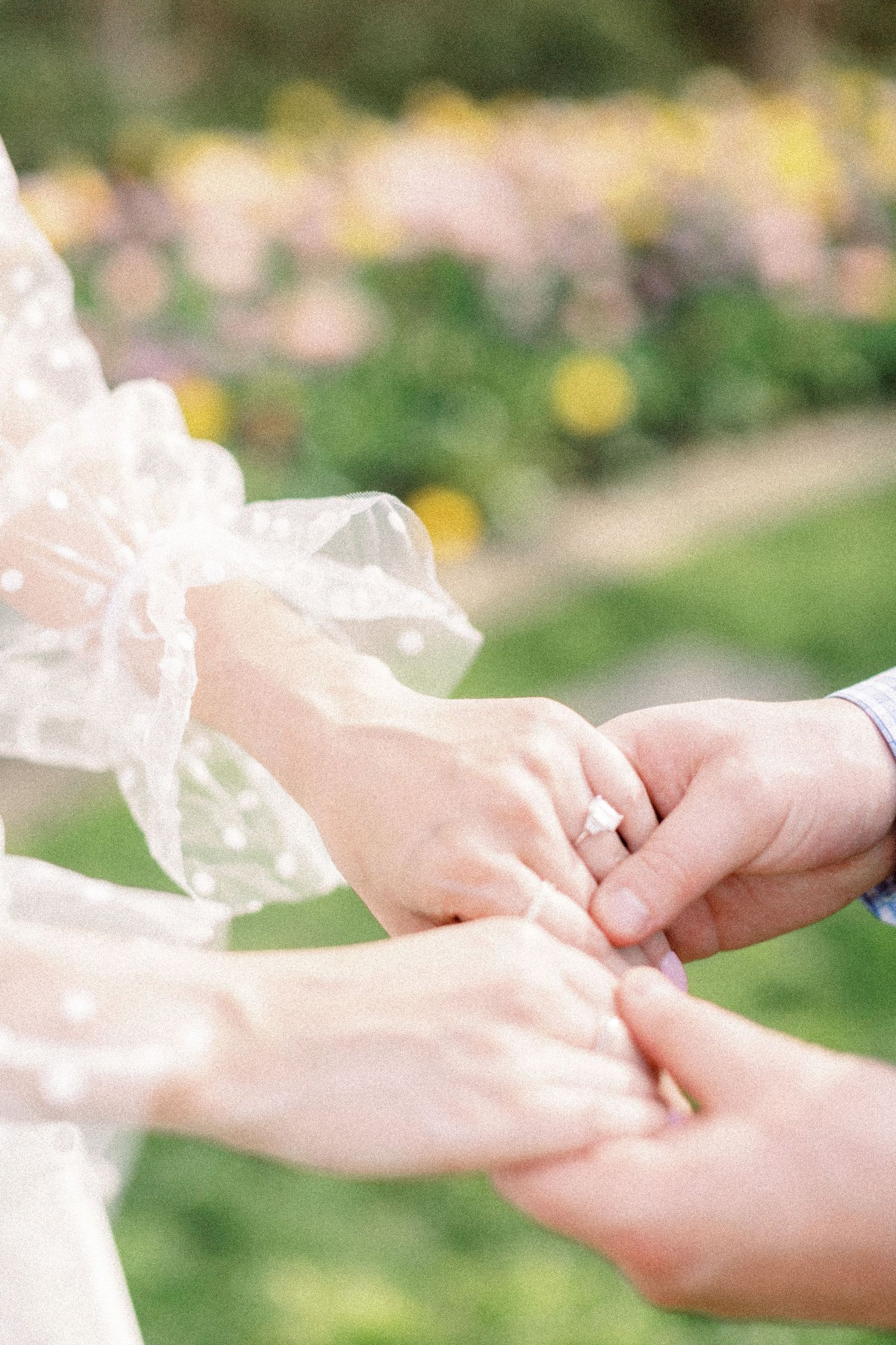 Engagement session at The Dallas Arboretum